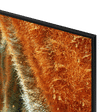 SAMSUNG QN70F 165.1 cm (65 inch) 4K Ultra HD Mini-LED Neo QLED Smart Tizen TV with Multiple Voice Assistant (2025 model)_3