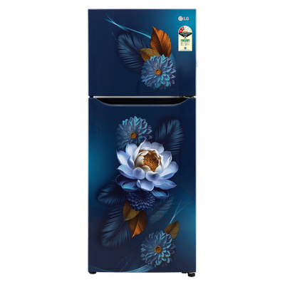 LG 240 Litres 2 Star Frost Free Double Door Convertible Refrigerator with Smart Diagnosis (GL-S292SBWY, Blue Water Lily)