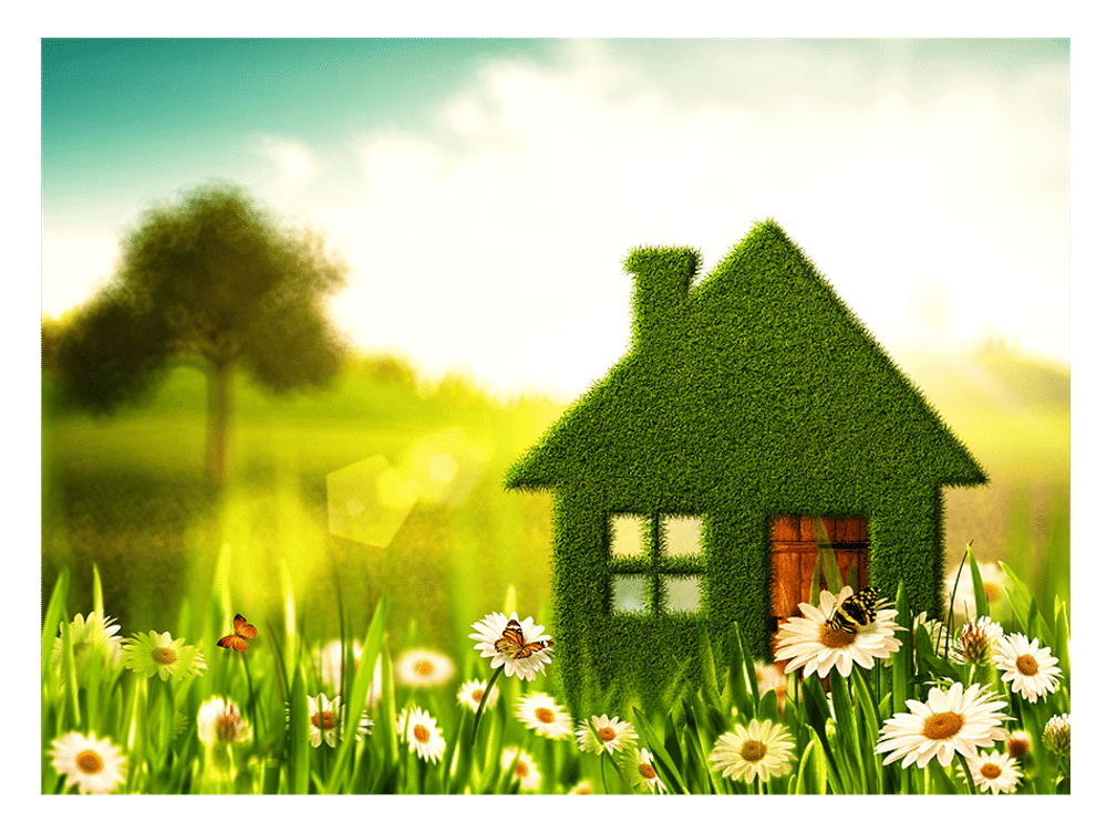 Minimalistic Living Minimalistic Living