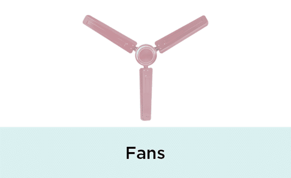 Fans Fans