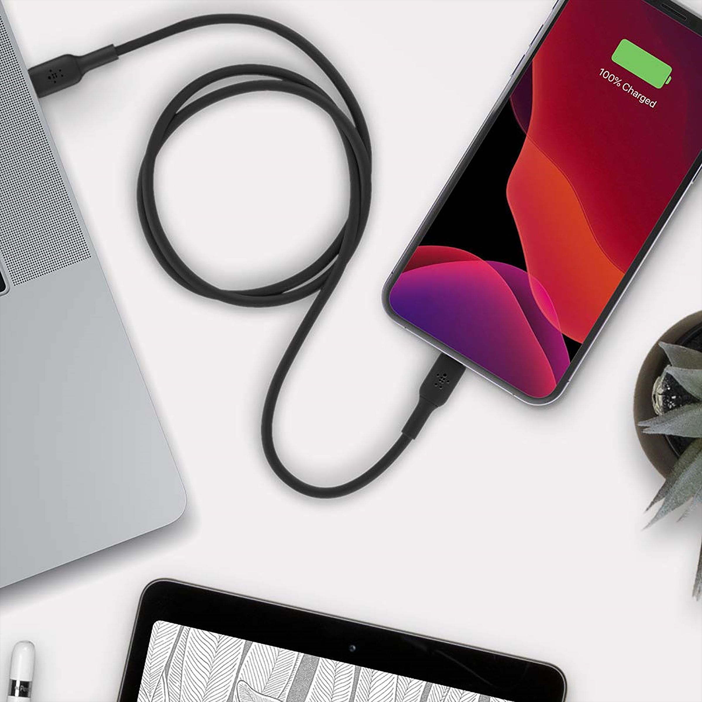 belkin BoostCharge Type C to Lightning Connector 3.3 Feet (1 M) Cable (Withstand 8000+ Bends, Black)_8