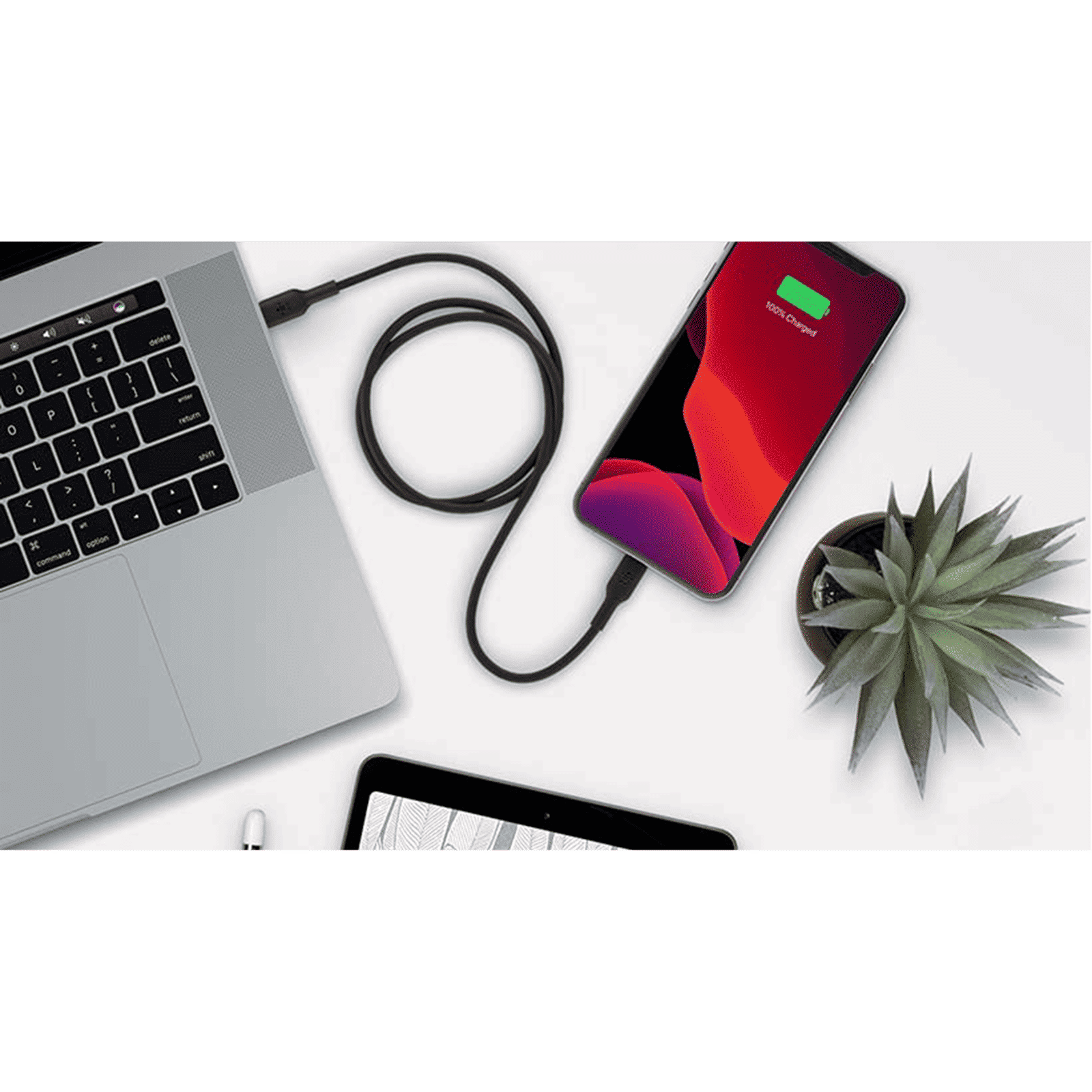 belkin BoostCharge Type C to Lightning Connector 3.3 Feet (1 M) Cable (Withstand 8000+ Bends, Black)_11