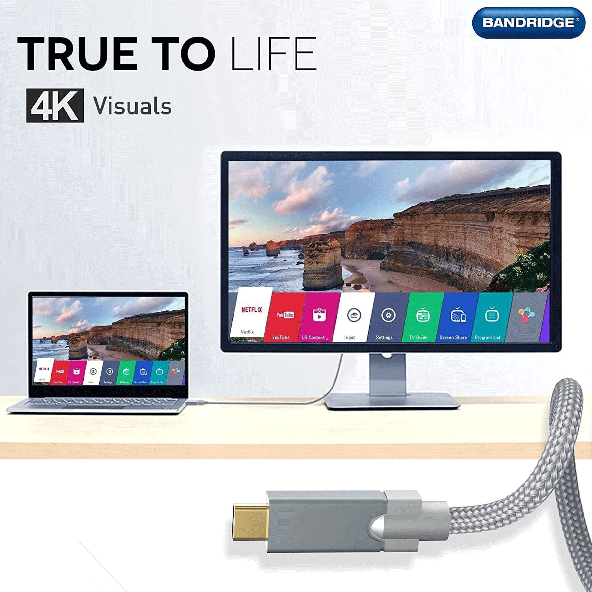 Bandridge U Series Type C to Type C 3.2 Feet (1M) Cable (Gold Plated Connector, Grey)_7