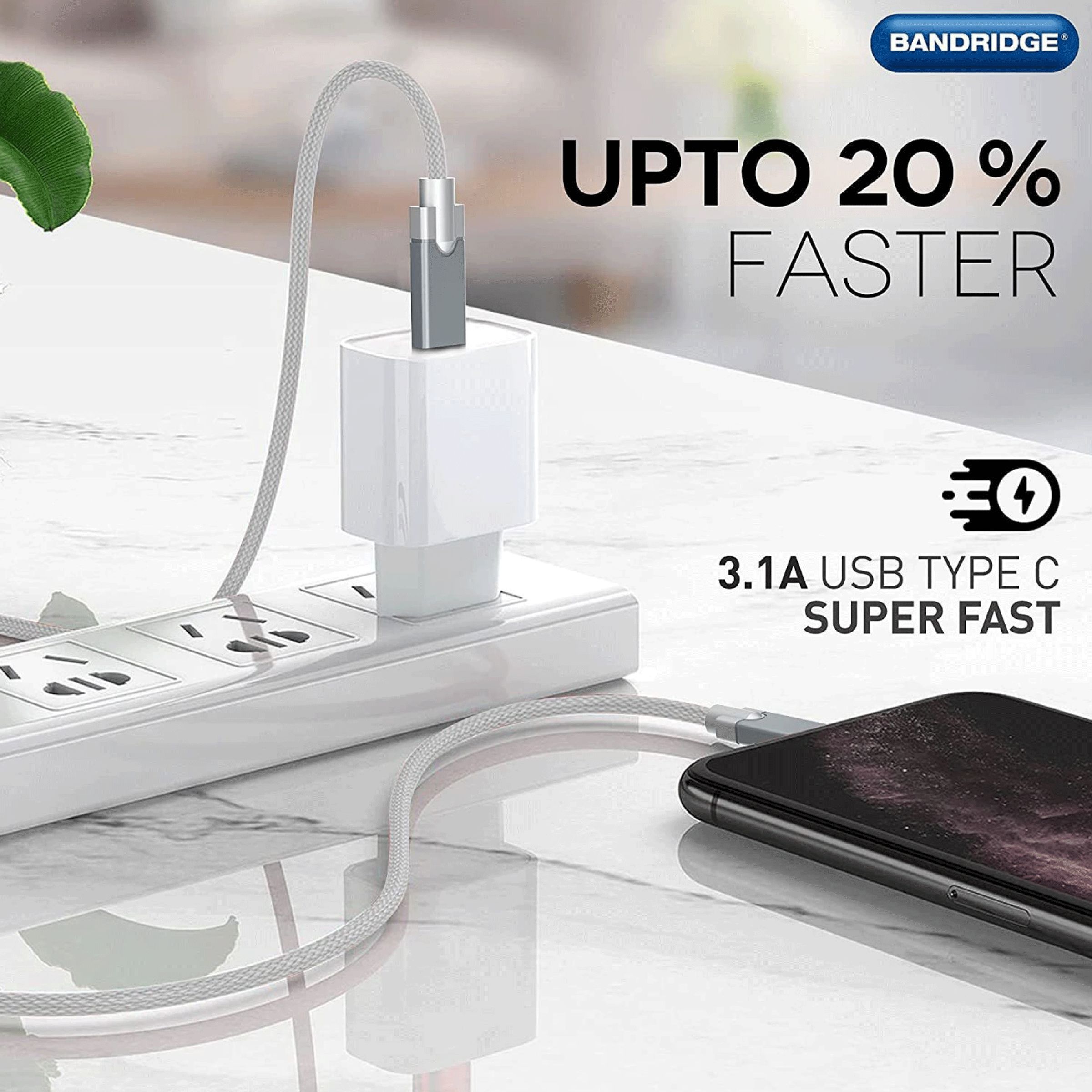 Bandridge U Series Type C to Type C 3.2 Feet (1M) Cable (Gold Plated Connector, Grey)_8