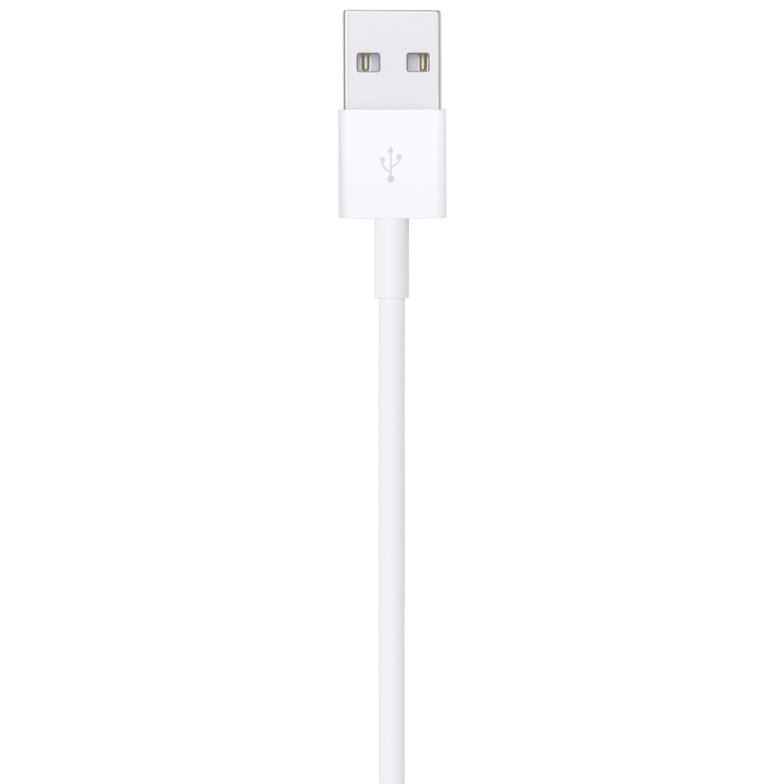 Apple Type A to Lightning 3.2 Feet (1M) Cable (Reversible Design, White)_4