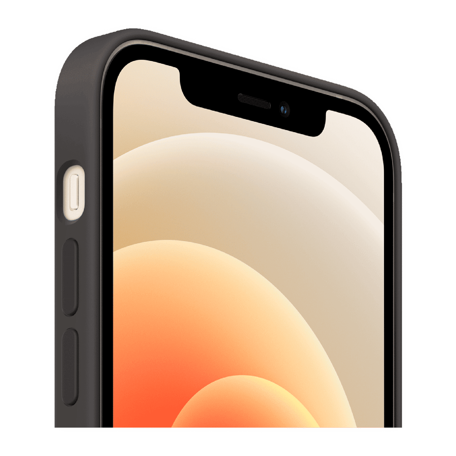 Apple Soft Silicone Back Cover for Apple iPhone 12 Mini (MagSafe Charging Support, Black)_4