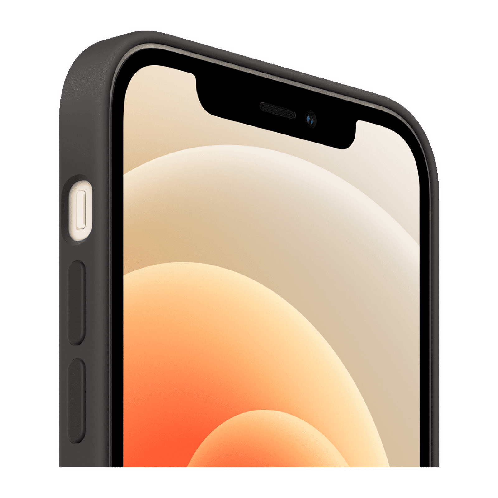 Apple Soft Silicone Back Cover for Apple iPhone 12 Pro Max (MagSafe Charging Support, Black)_4