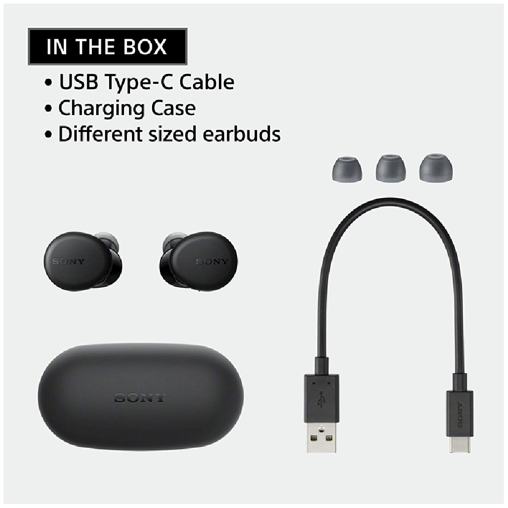 SONY WF-XB700 TWS Earbuds with Active Noise Cancellation (IPX4 Water Resistant, 18 Hours Playback, Black)_5