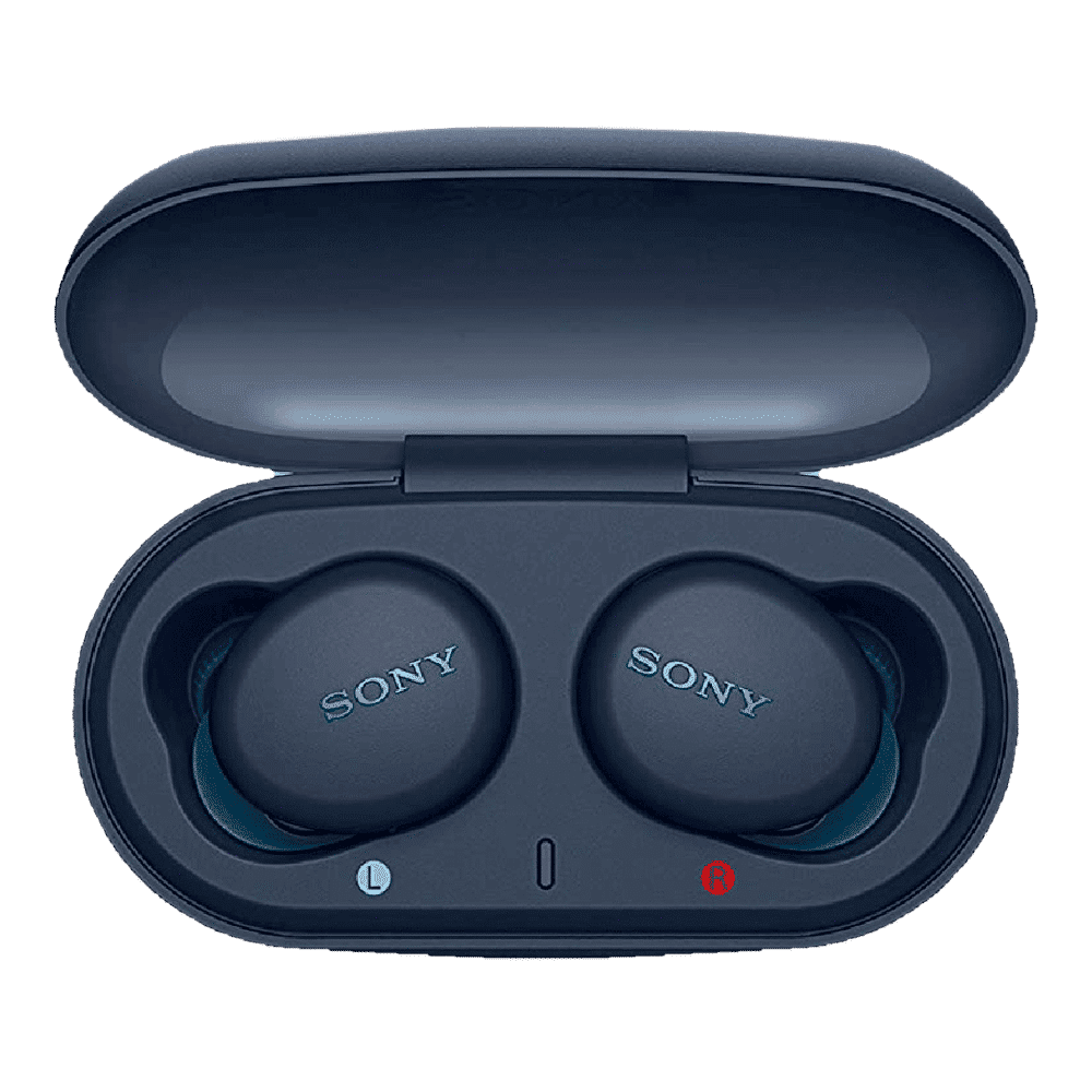 SONY WF-XB700 TWS Earbuds (IPX4 Water Resistant, 18 Hours Playback, Blue)_1