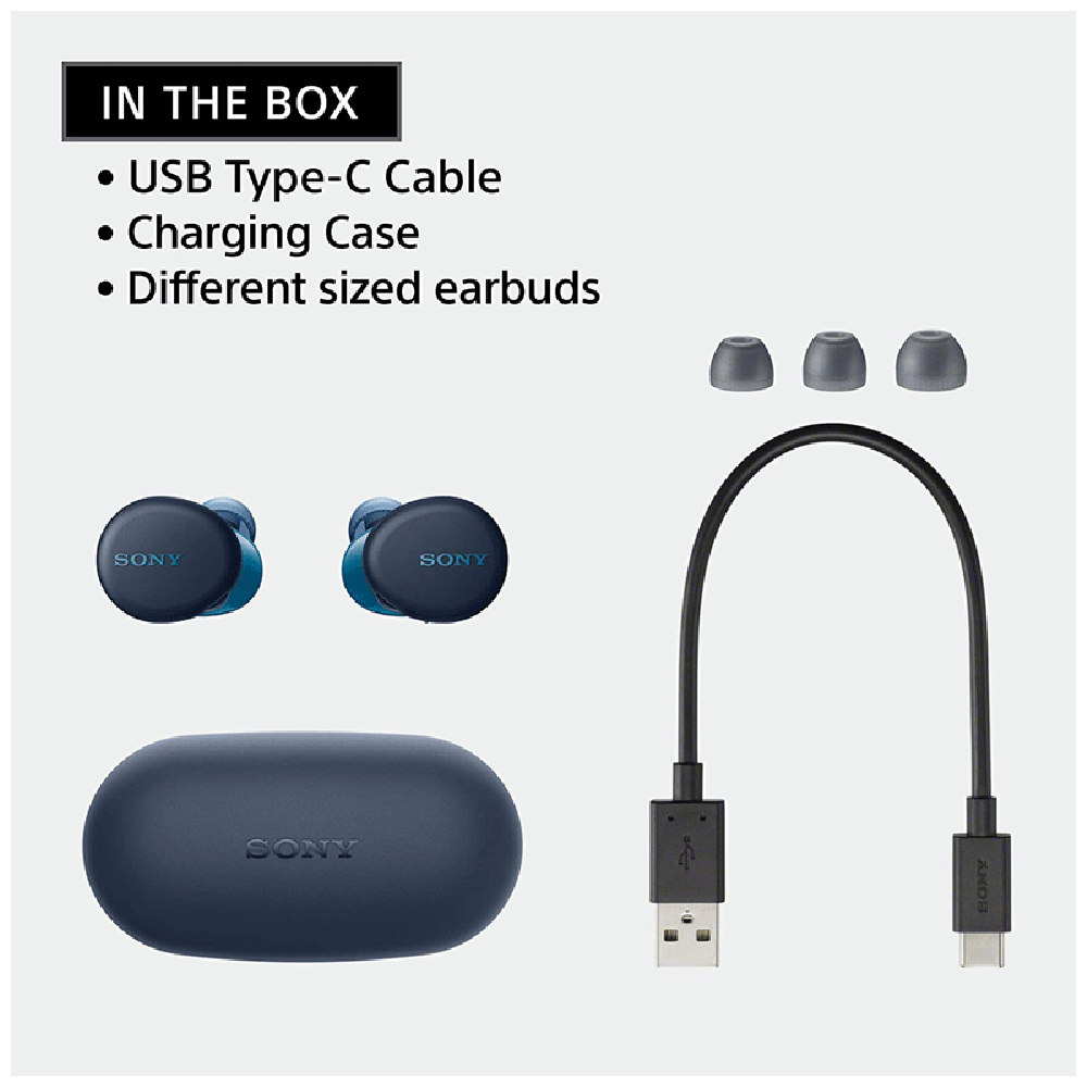 SONY WF-XB700 TWS Earbuds (IPX4 Water Resistant, 18 Hours Playback, Blue)_6
