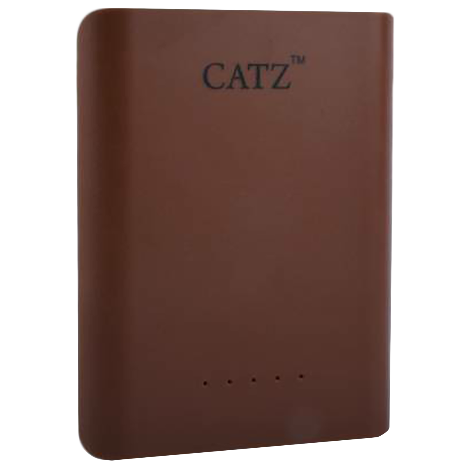 CATZ 10000 mAh Power Bank (1 Micro USB & 2 Type A Ports, Intelligent Safety Protection, Brown)_5