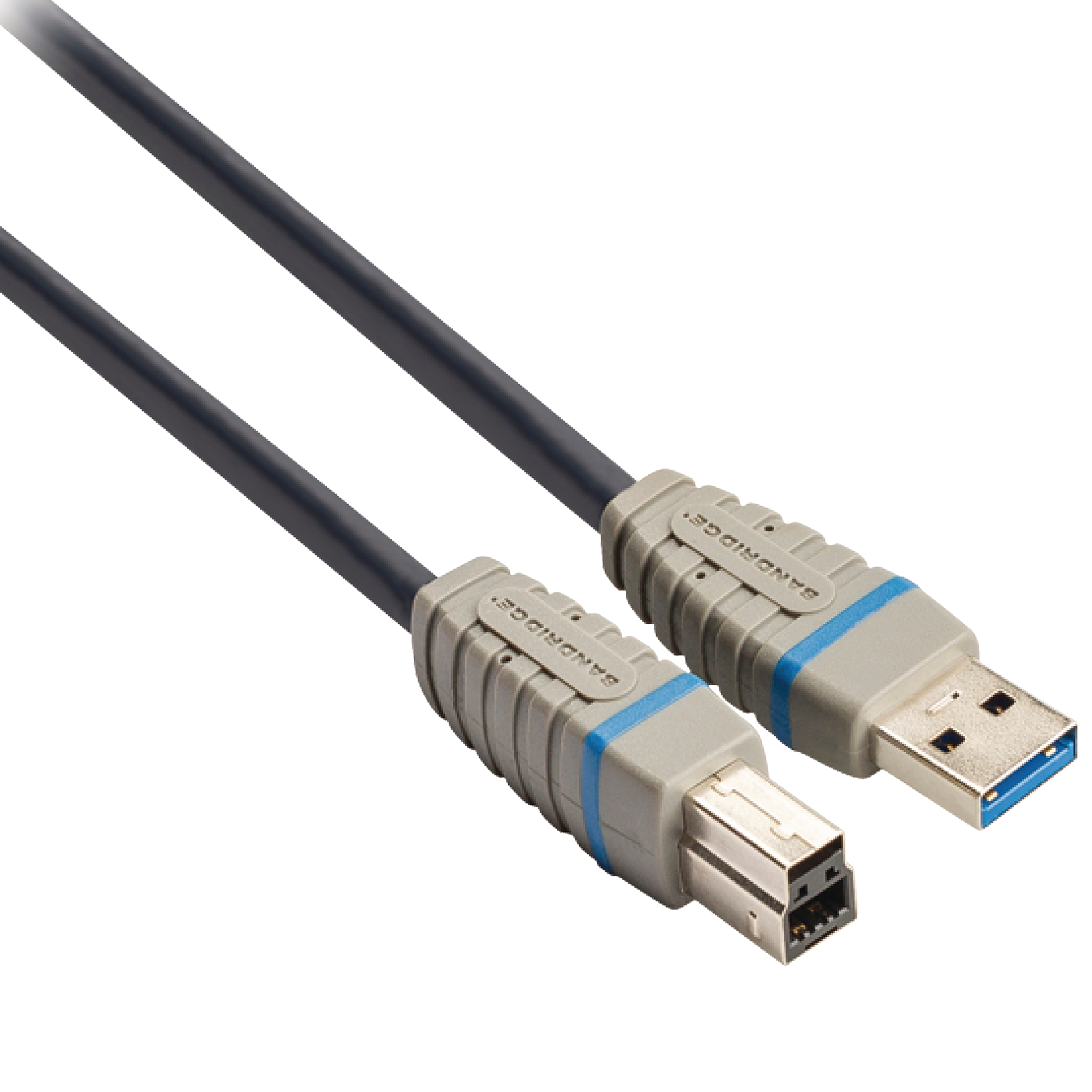 Bandridge Type A to Type B 6.5 Feet (2M) Cable (5 Gbps Transfer Speed, Blue)_3