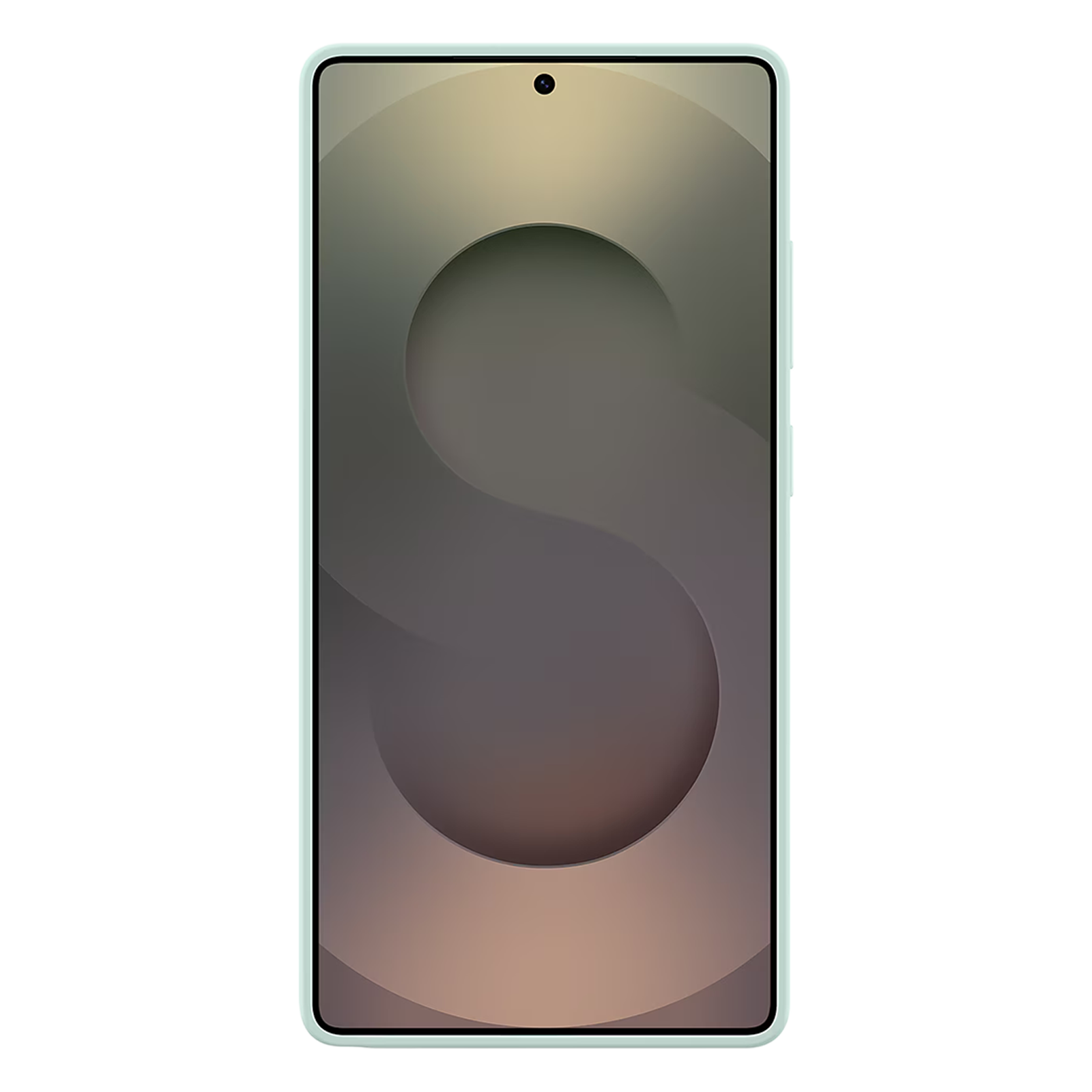 SAMSUNG Soft Silicone Back Case for SAMSUNG Galaxy S25 Ultra (Ul Certified, Mint)_2