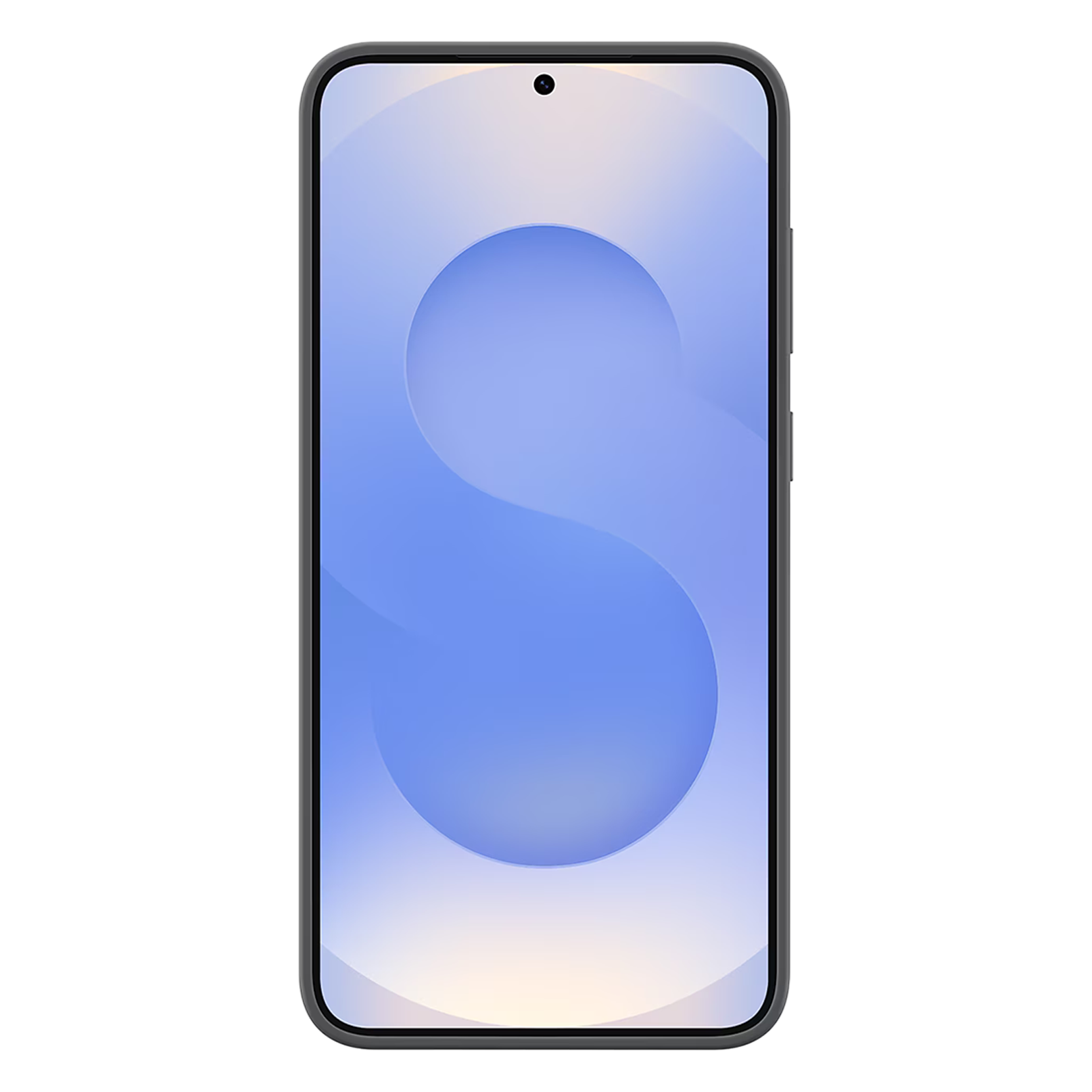 SAMSUNG Soft Silicone Back Case for SAMSUNG Galaxy S25 Plus (Ul Certified, Black)_2