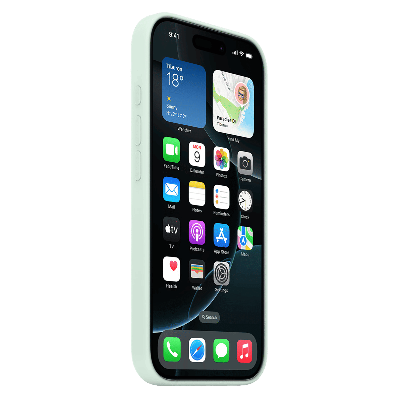 Apple Soft Silicone Back Cover Apple iPhone 16 Pro (MagSafe Charging Support, Aquamarine)_5