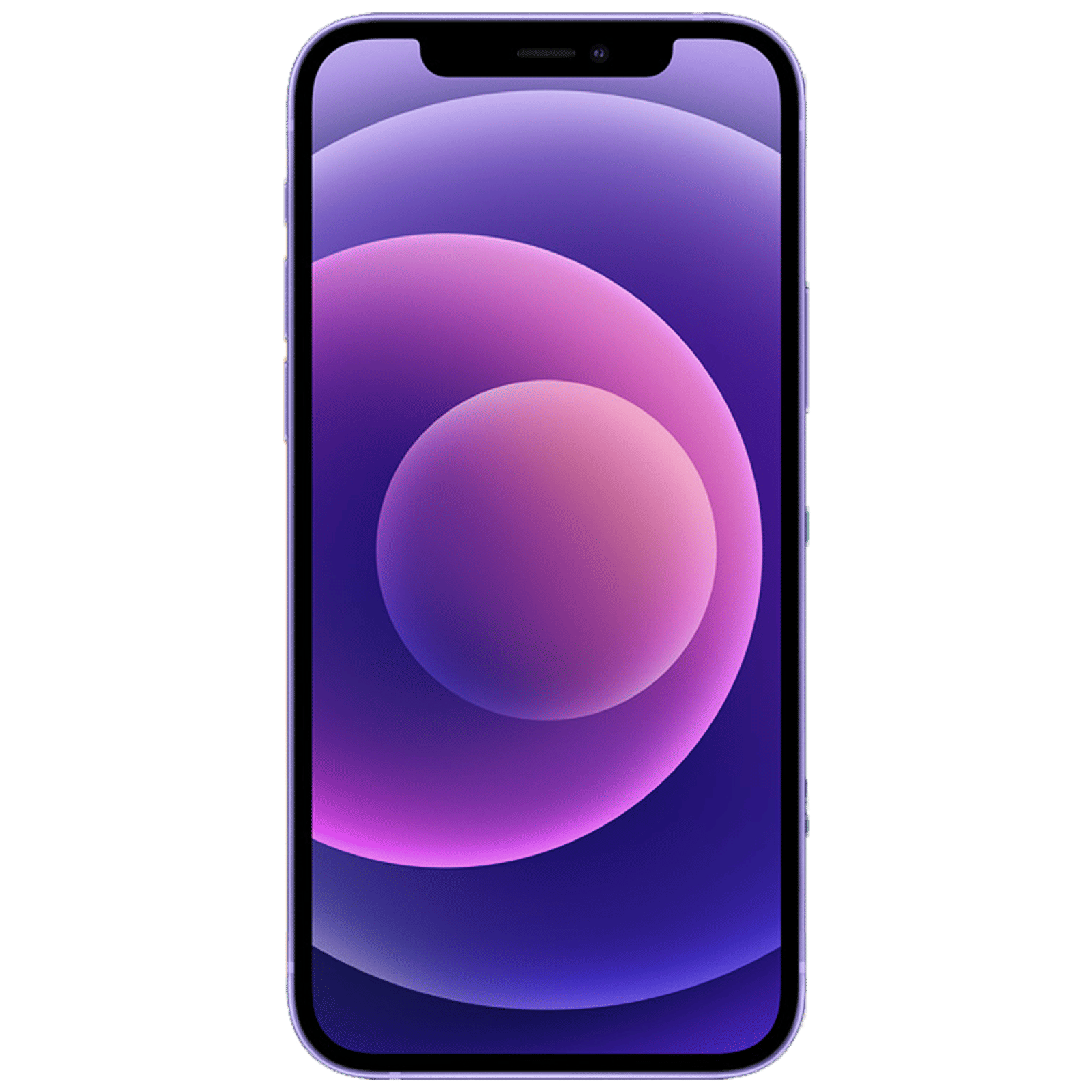 Apple iPhone 12 Mini (128GB, Purple)_4