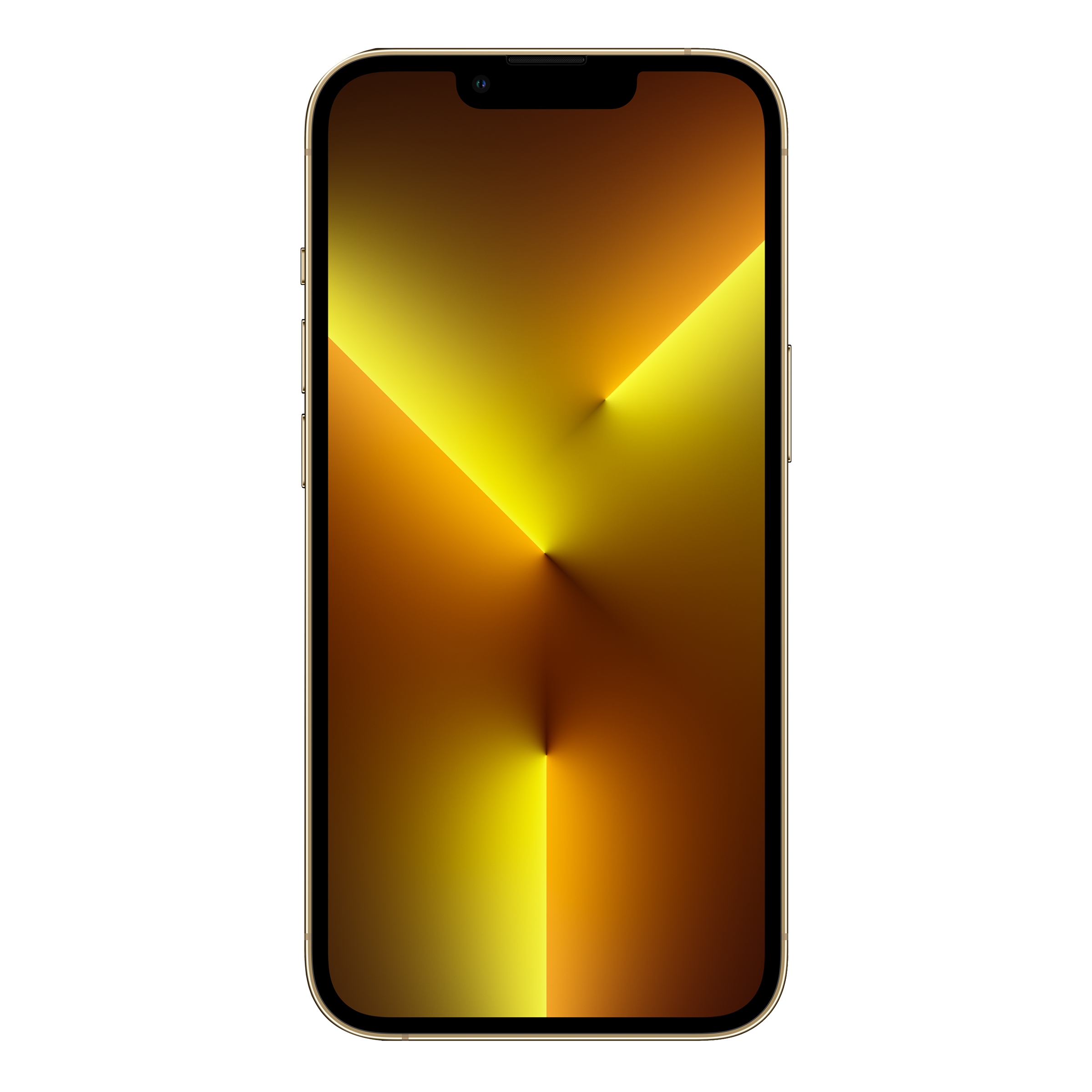 Apple iPhone 13 Pro Max (1TB, Gold)_6