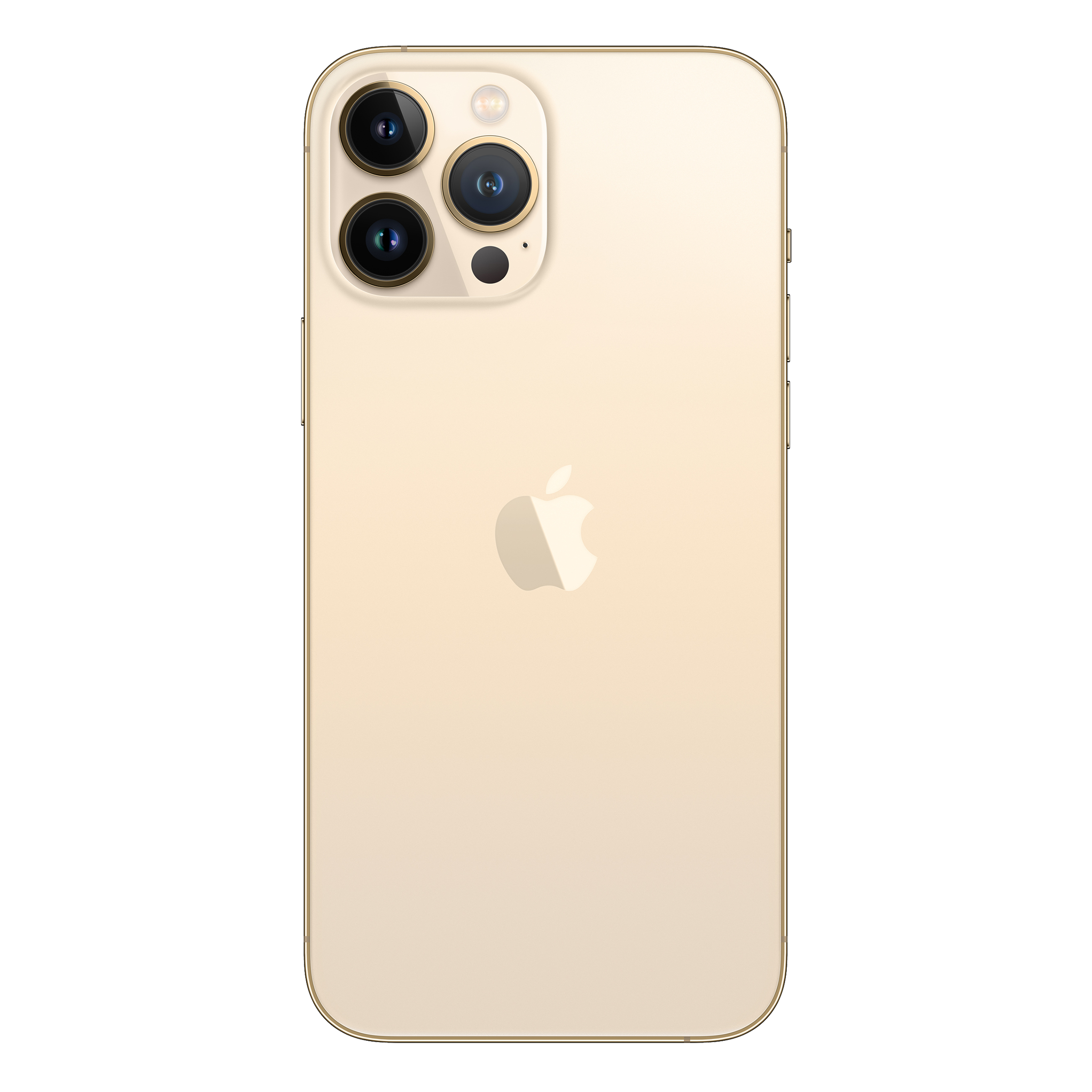Apple iPhone 13 Pro Max (1TB, Gold)_2