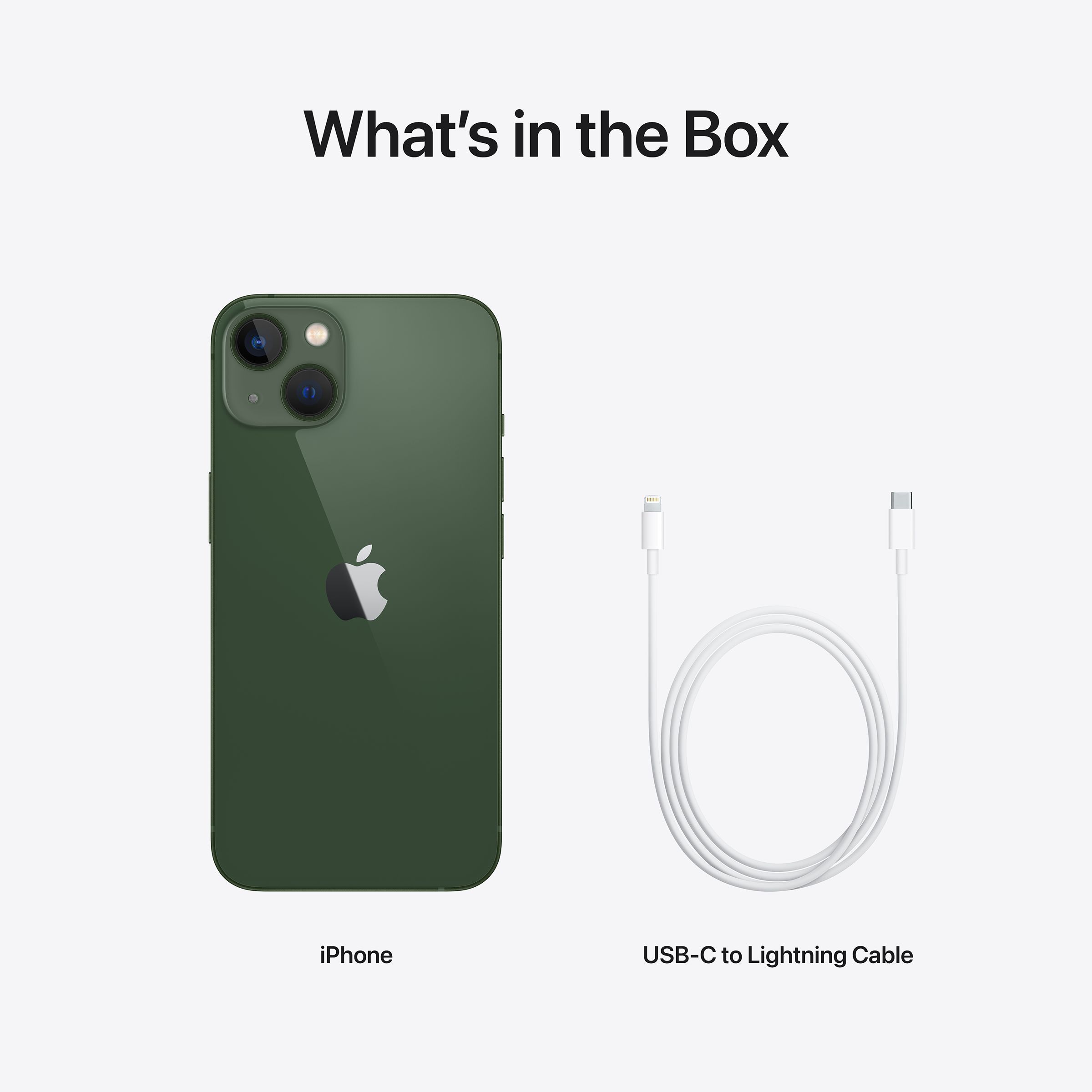 Apple iPhone 13 (128GB, Alpine Green)_9