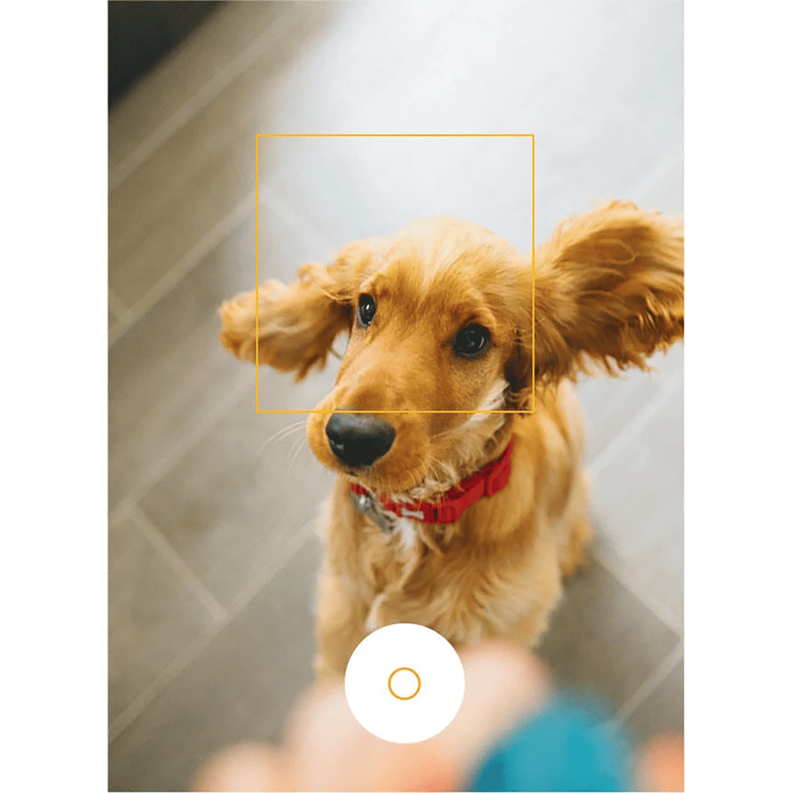 vivo Y16 (4GB RAM, 64GB, Stellar Black)_9