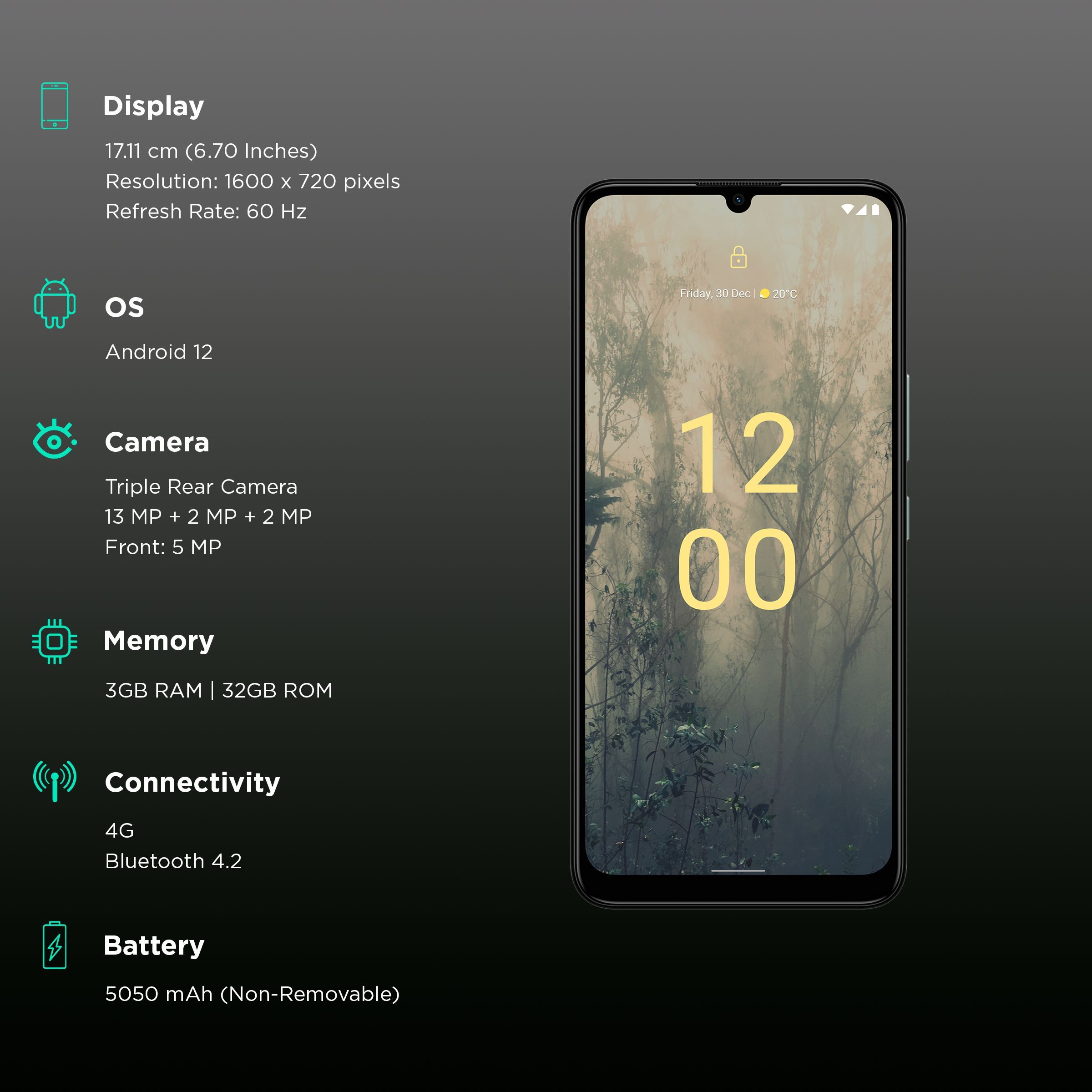 NOKIA C31 Plus (3GB RAM, 32GB, Mint)_2