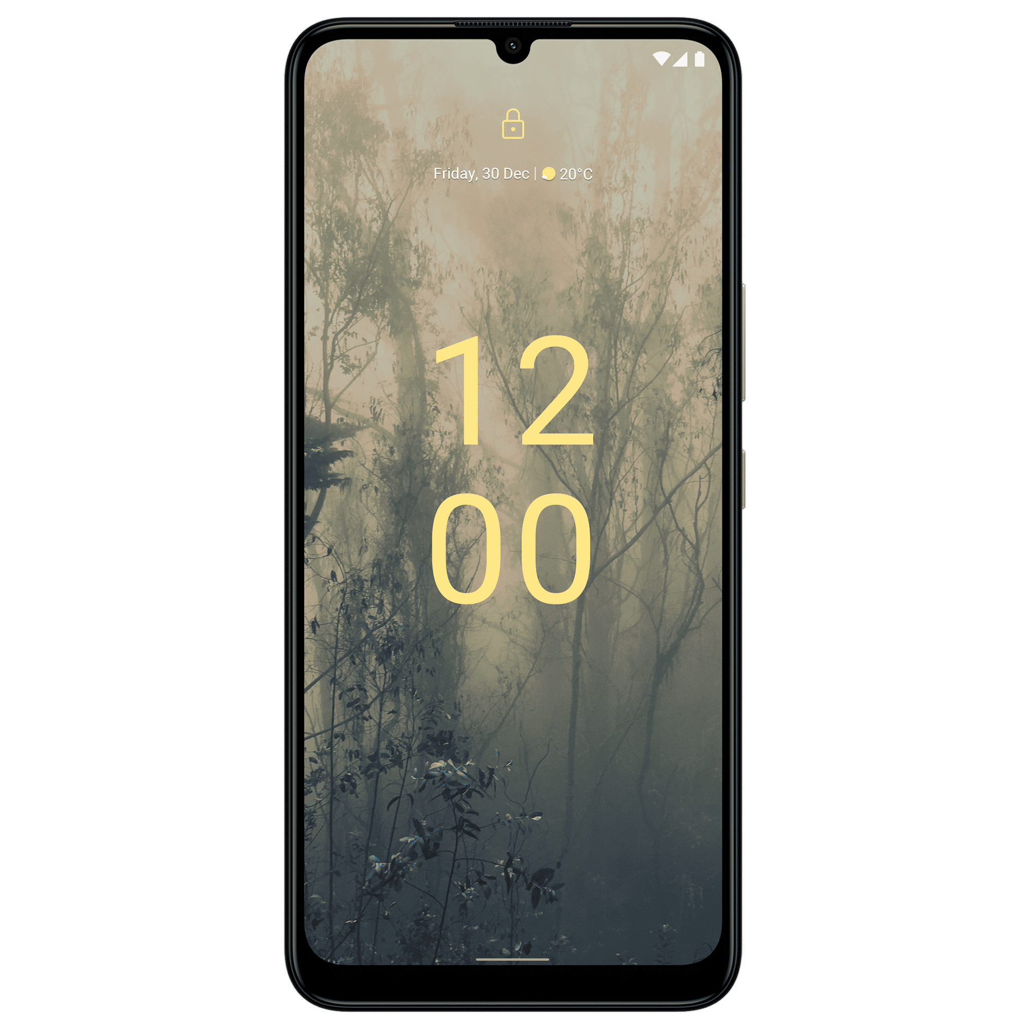 NOKIA C31 Plus (4GB RAM, 64GB, Mint)_1