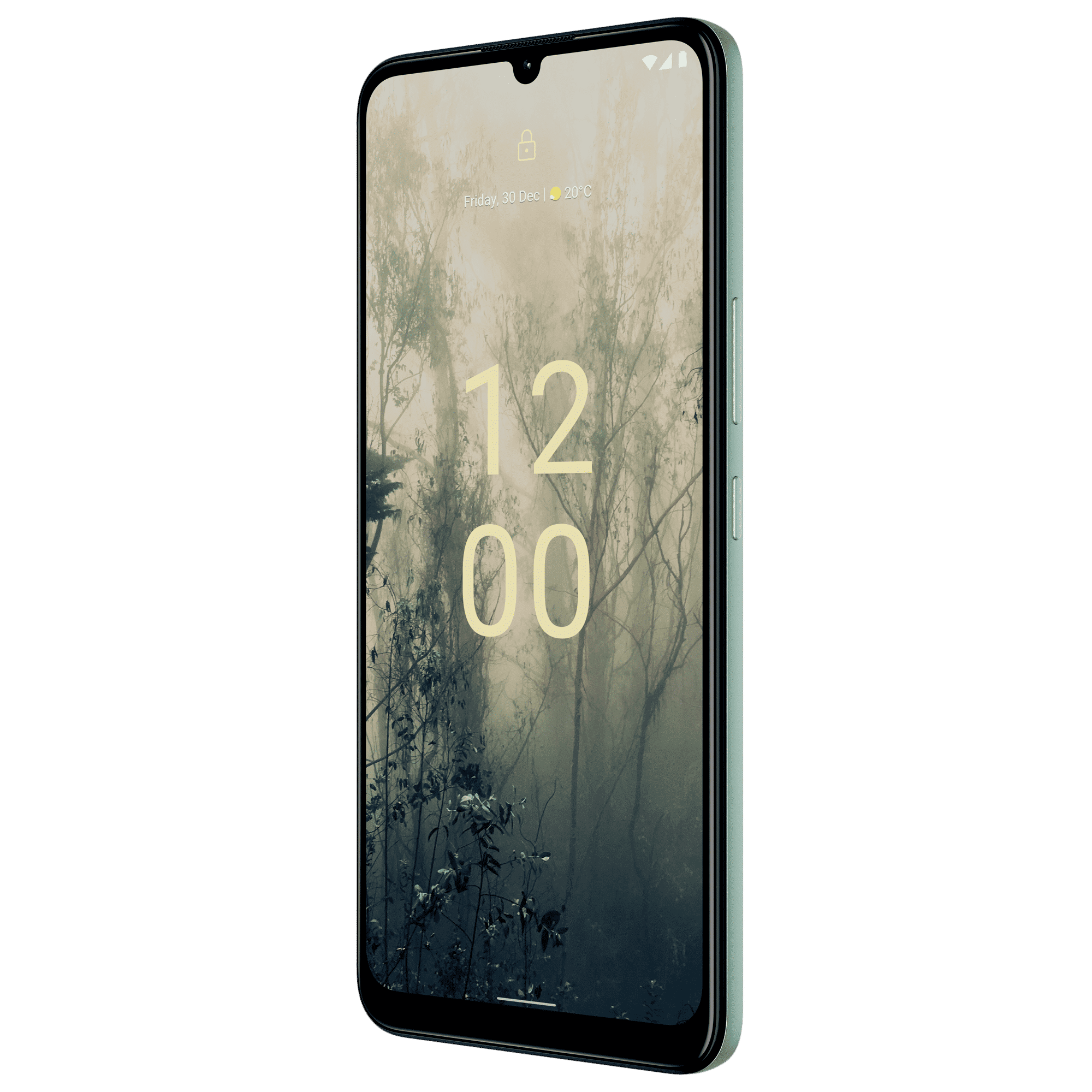 NOKIA C31 Plus (4GB RAM, 64GB, Mint)_3