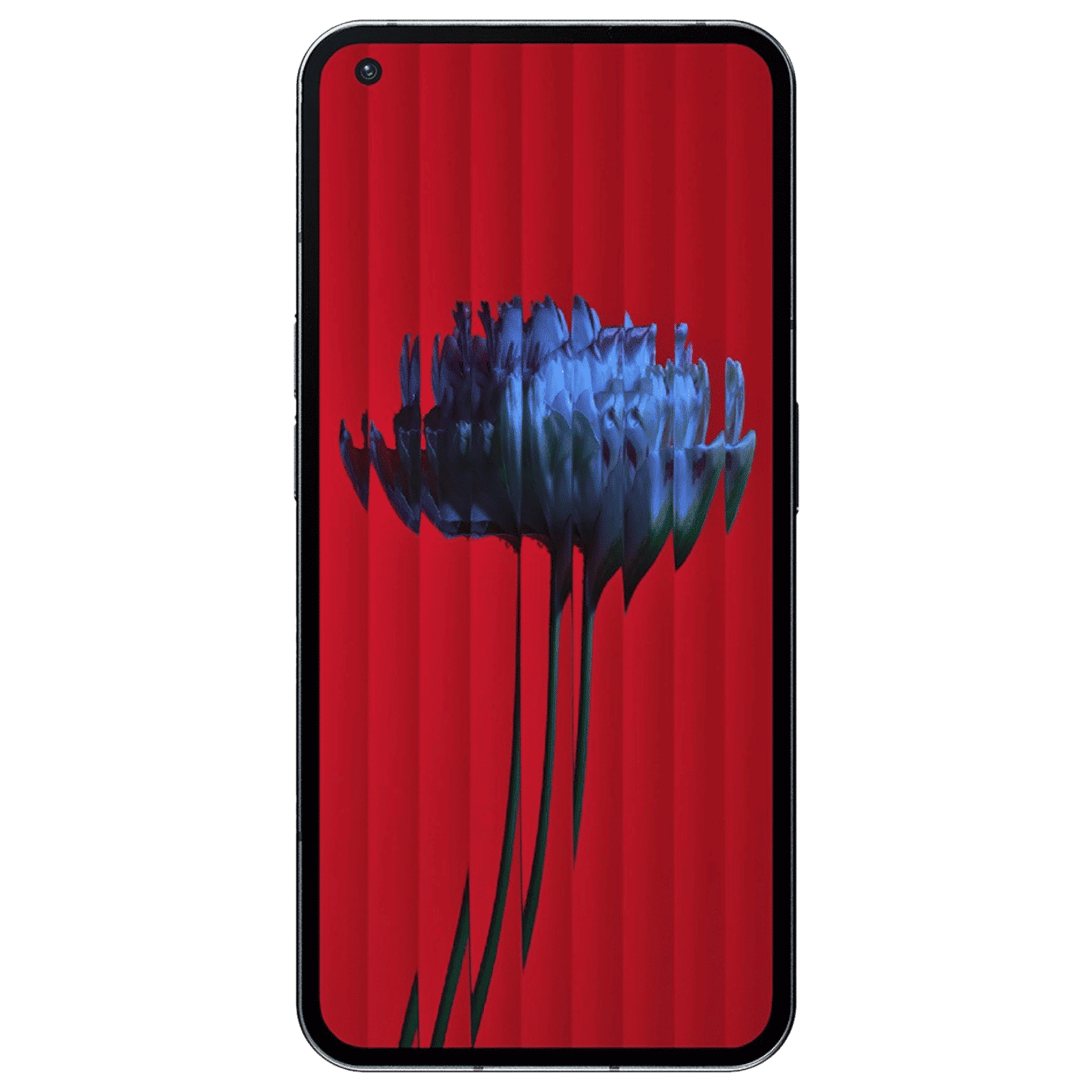 Nothing Phone 1 5G (8GB RAM, 128GB, Black)_6