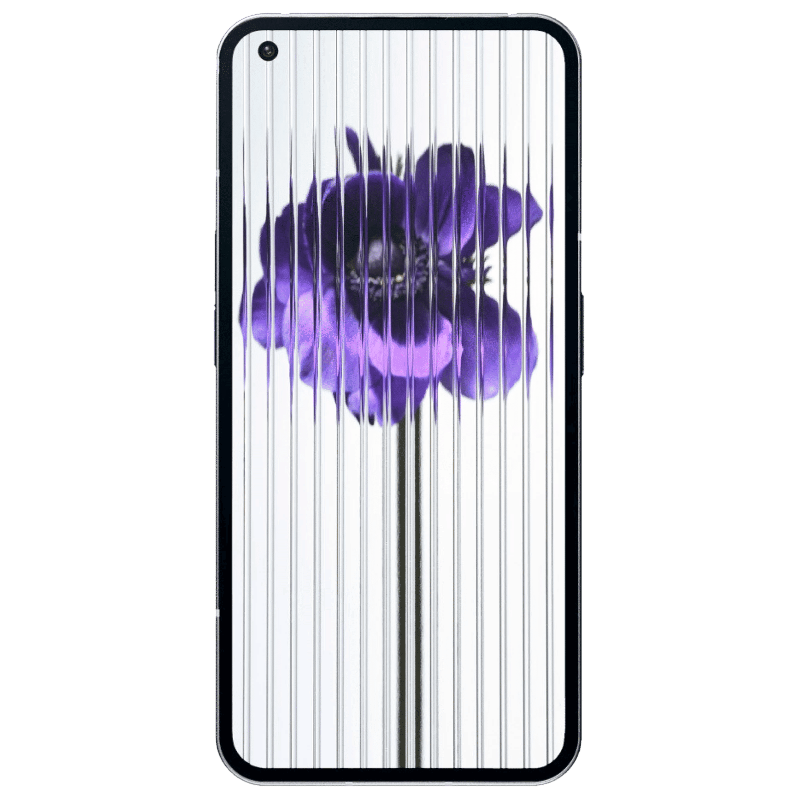 Nothing Phone 1 5G (8GB RAM, 256GB, White) _6