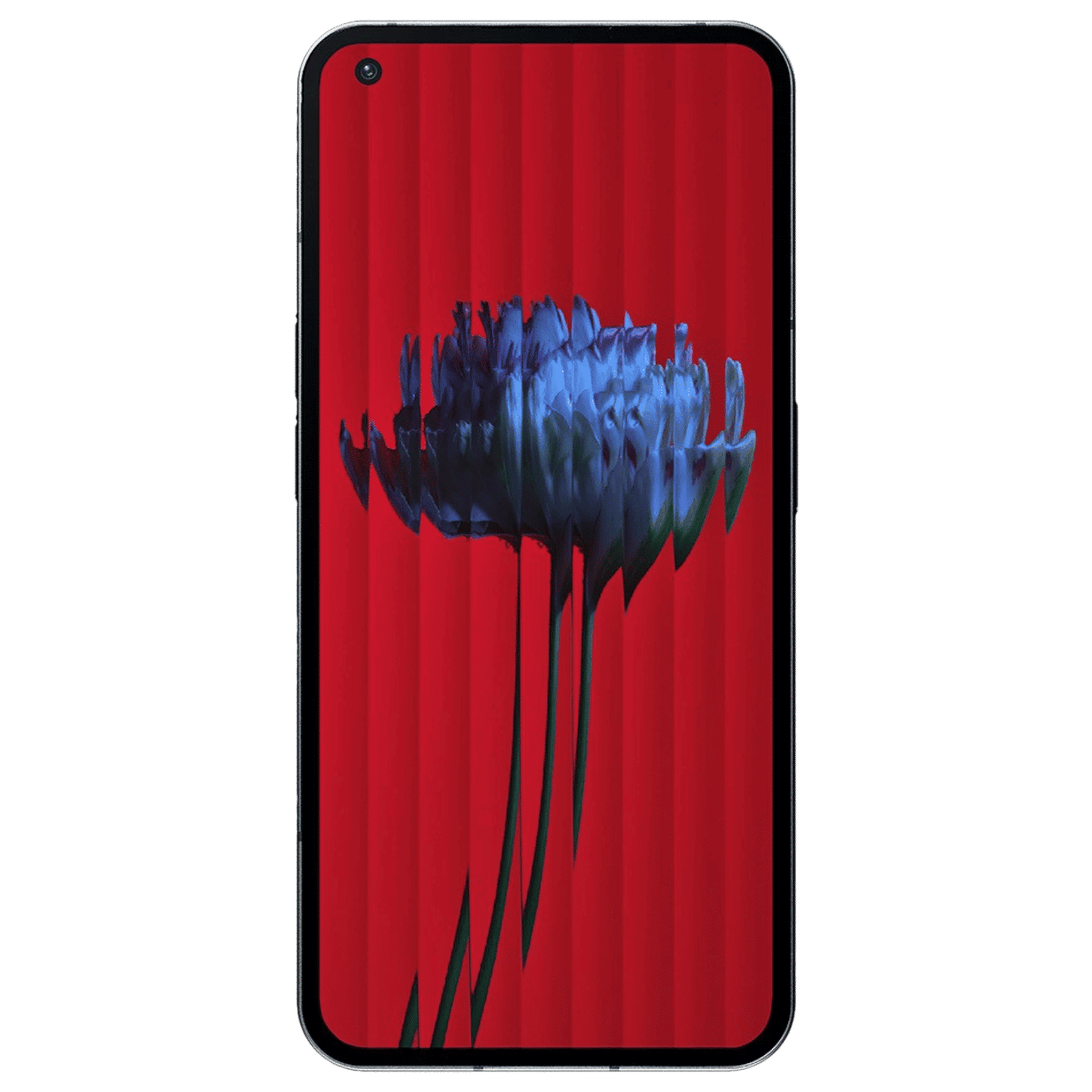 Nothing Phone 1 5G (12GB RAM, 256GB, Black) _6