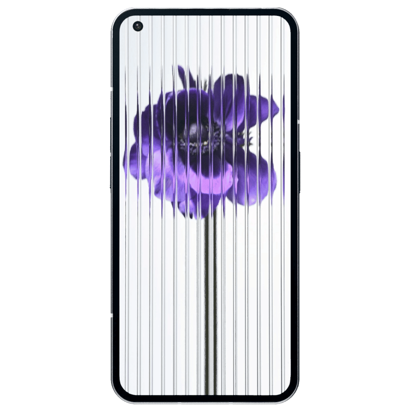 Nothing Phone 1 5G (12GB RAM, 256GB, White) _6