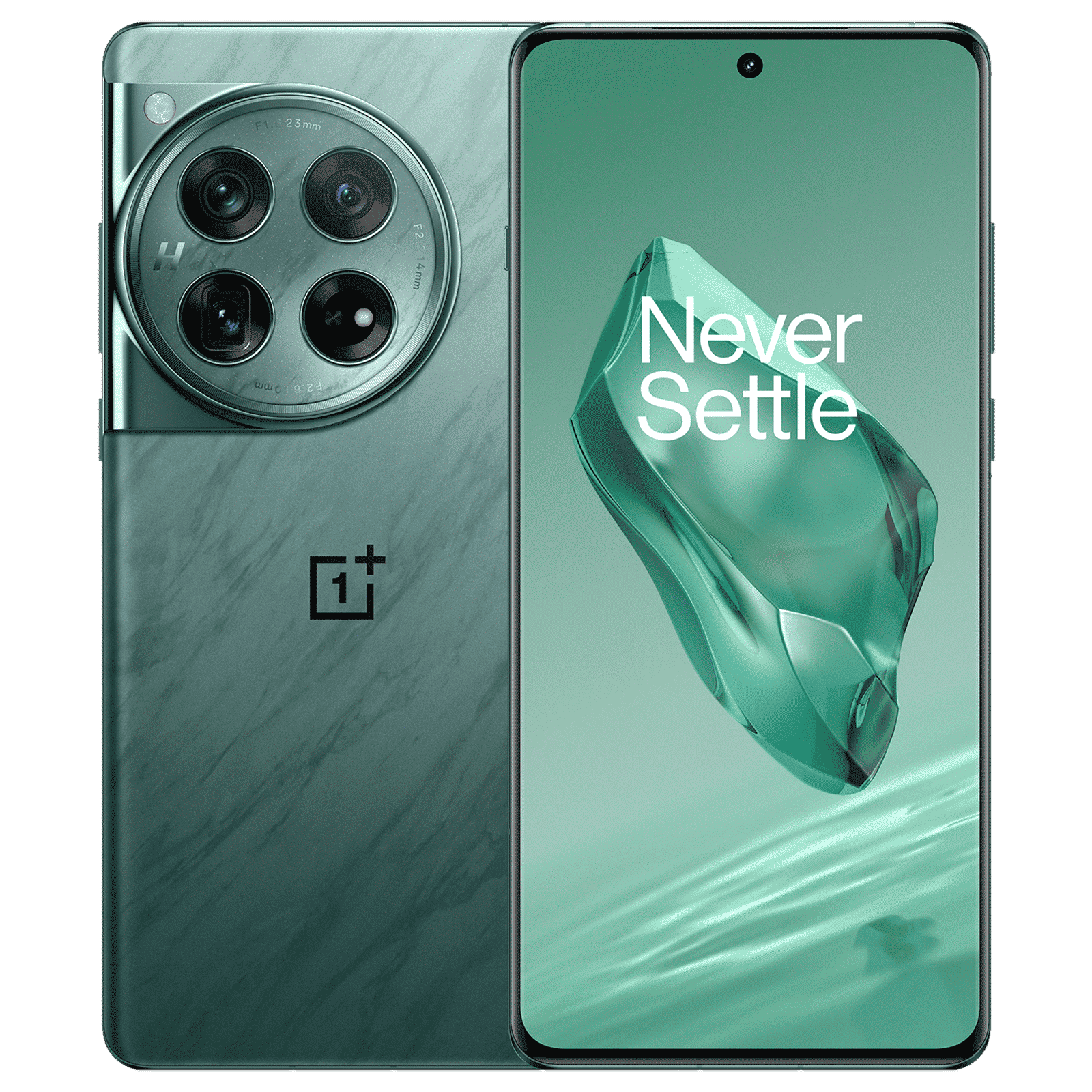 OnePlus 12 5G (12GB RAM, 256GB, Flowy Emerald)_1