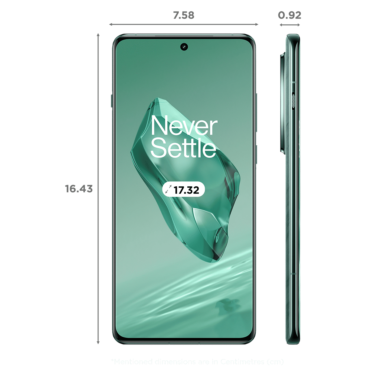 OnePlus 12 5G (12GB RAM, 256GB, Flowy Emerald)_2