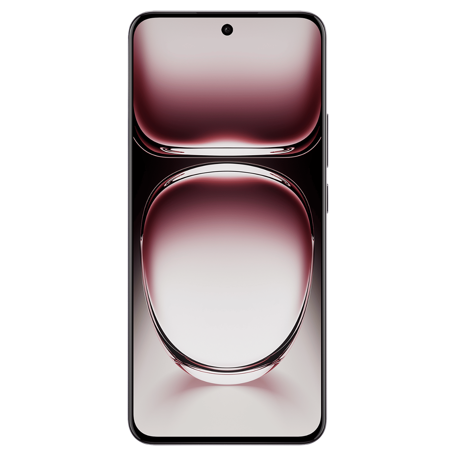 oppo Reno 12 5G (8GB RAM, 256GB, Matte Brown)_6