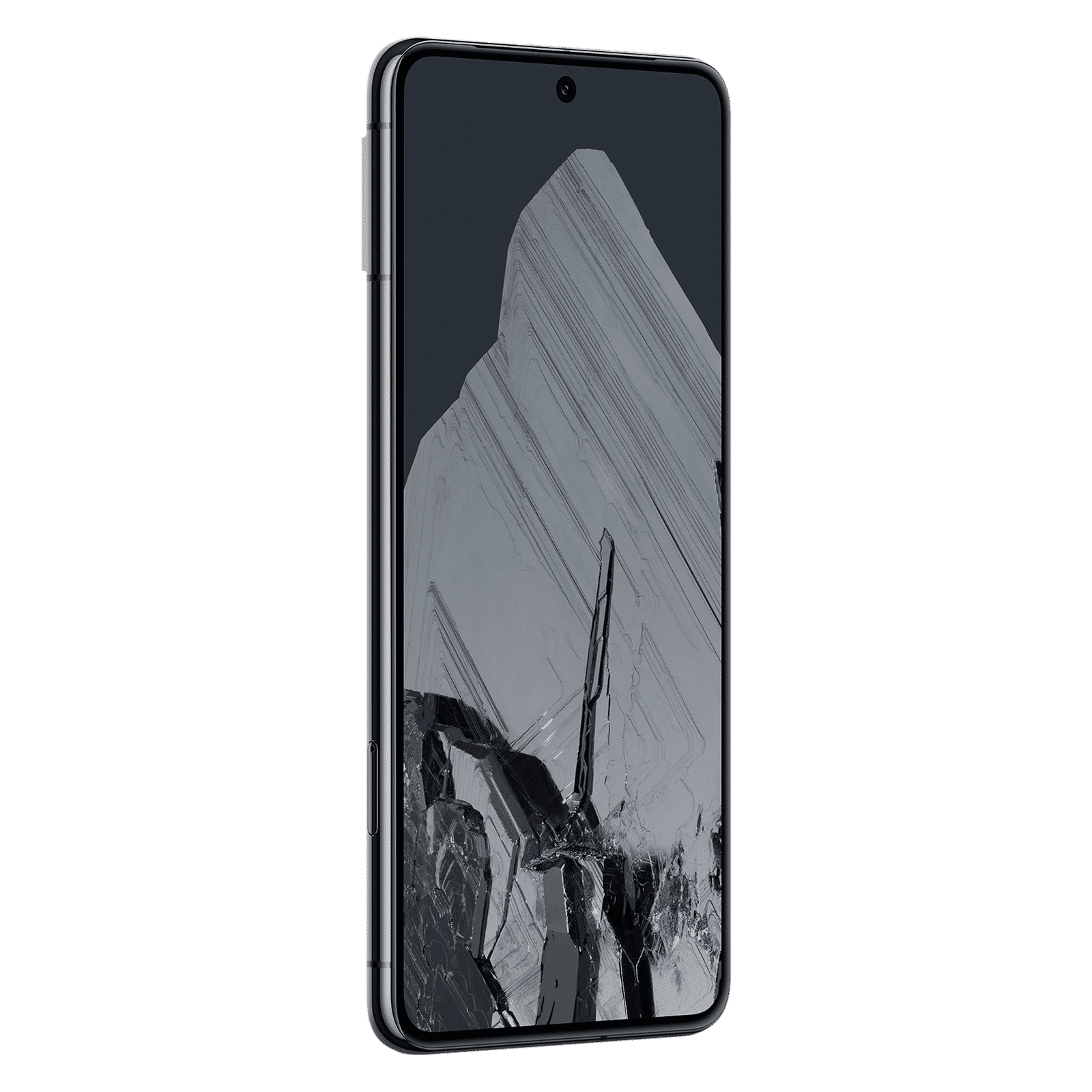 Google Pixel 8 Pro 5G (12GB RAM, 256GB, Obsidian)_4
