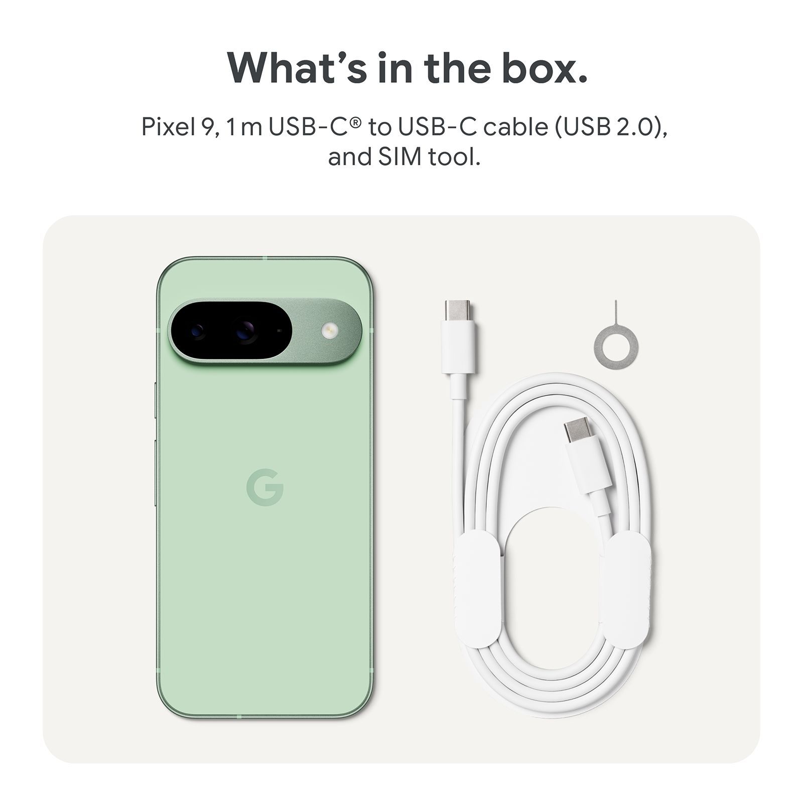 Google Pixel 9 5G (12GB RAM, 256GB, Wintergreen) Google Pixel 9 5G (12GB RAM, 256GB, Wintergreen)_16