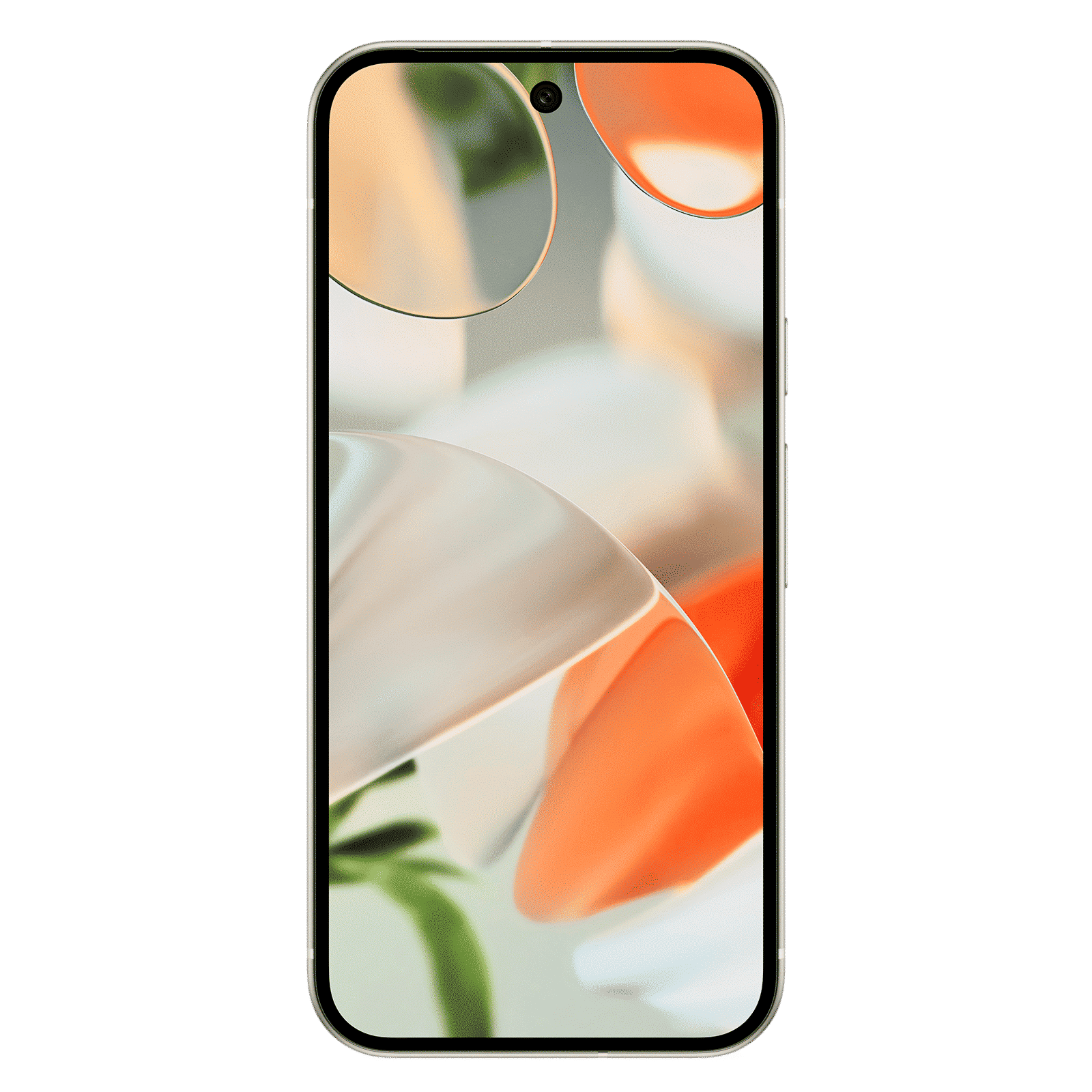 Google Pixel 9 5G (12GB RAM, 256GB, Porcelain) Google Pixel 9 5G (12GB RAM, 256GB, Porcelain)_5