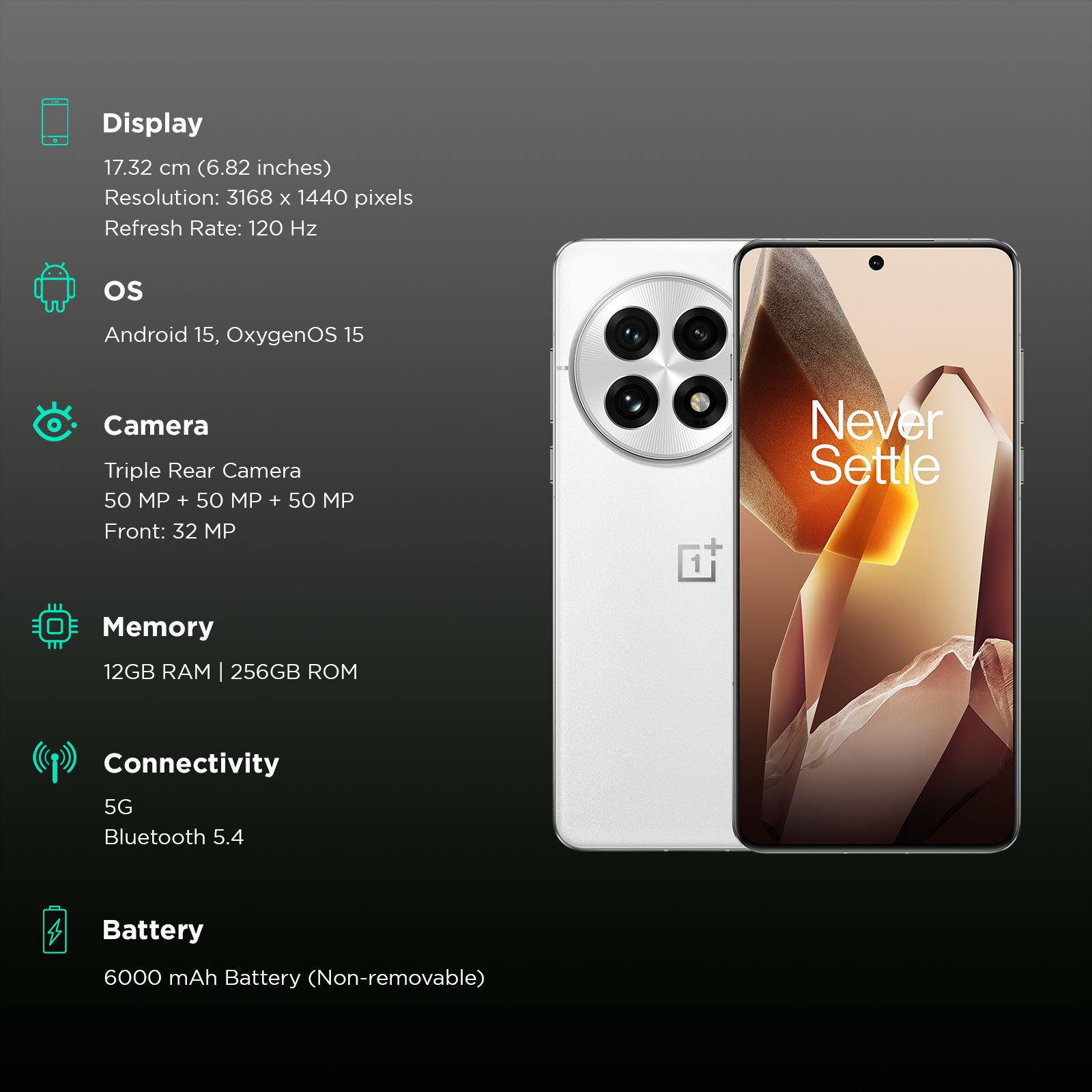 OnePlus 13 5G (12GB RAM, 256GB, Arctic Dawn)_3