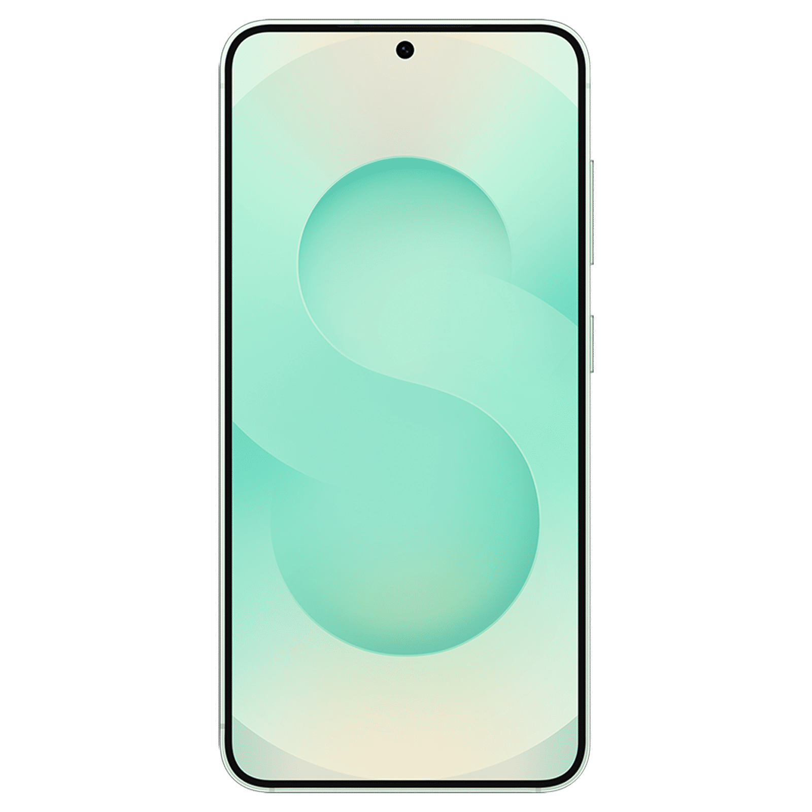 SAMSUNG Galaxy S25 5G (12GB RAM, 256GB, Mint)_8