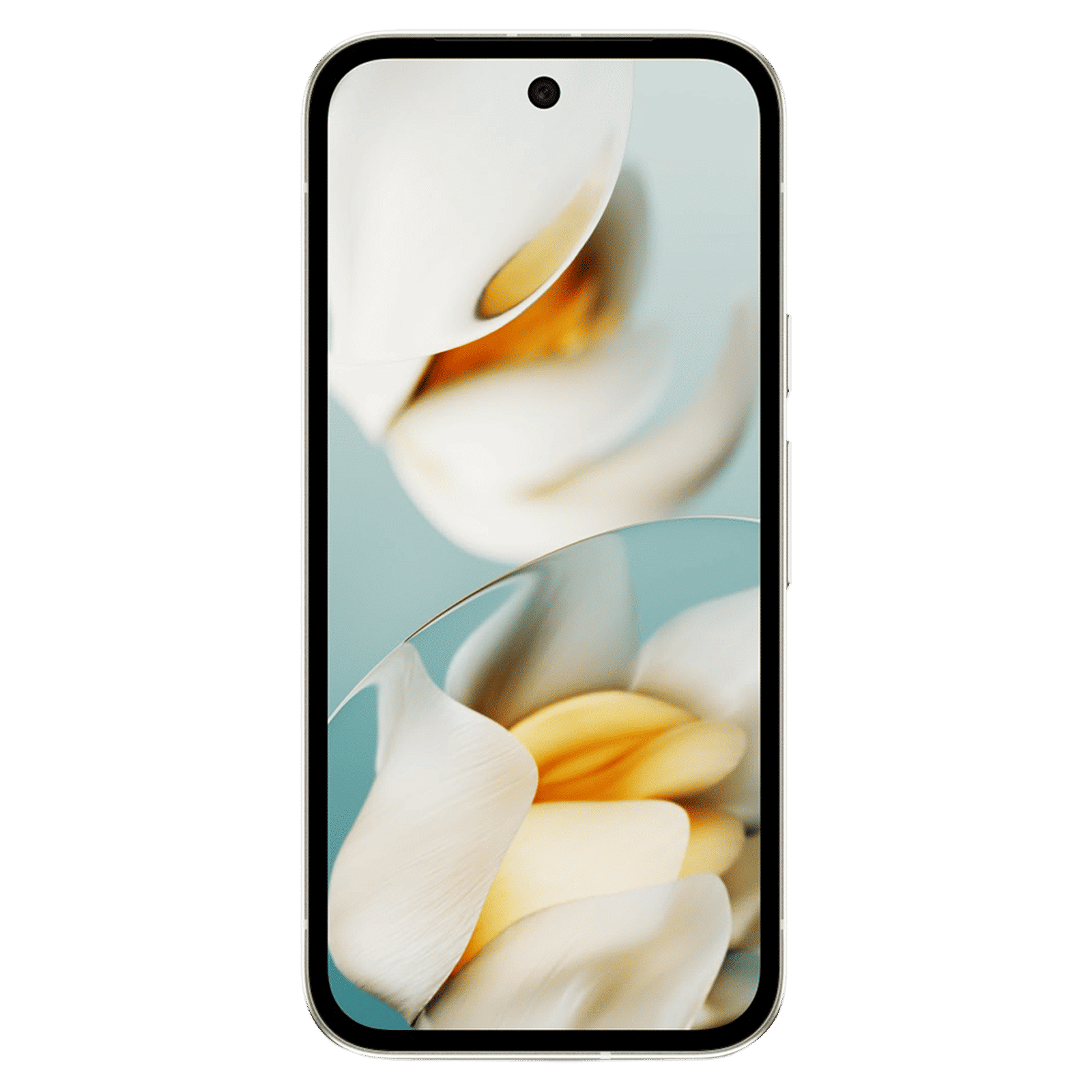 Google Pixel 9a 5G (8GB RAM, 256GB, Porcelain)_10