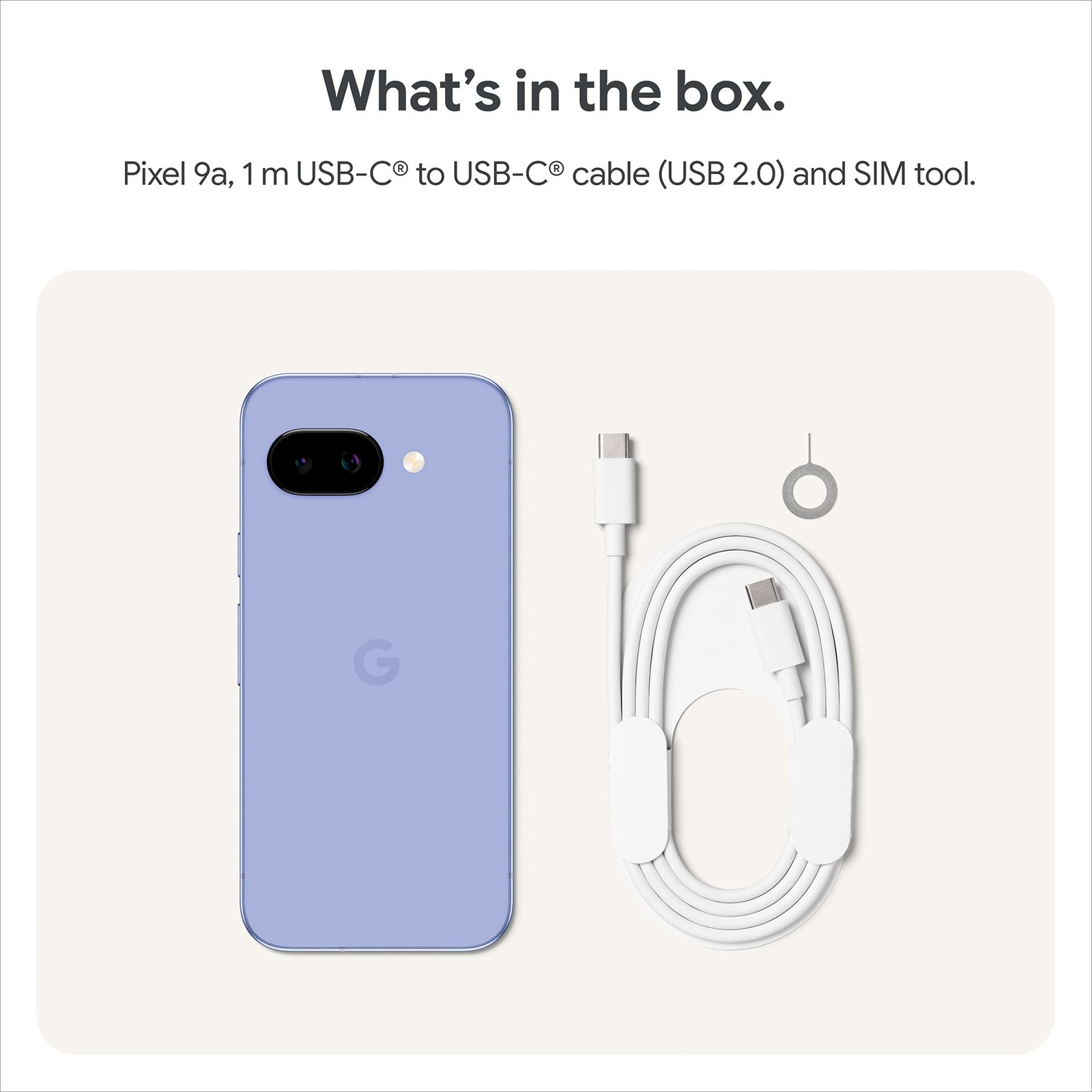 Google Pixel 9a 5G (8GB RAM, 256GB, Iris)_13
