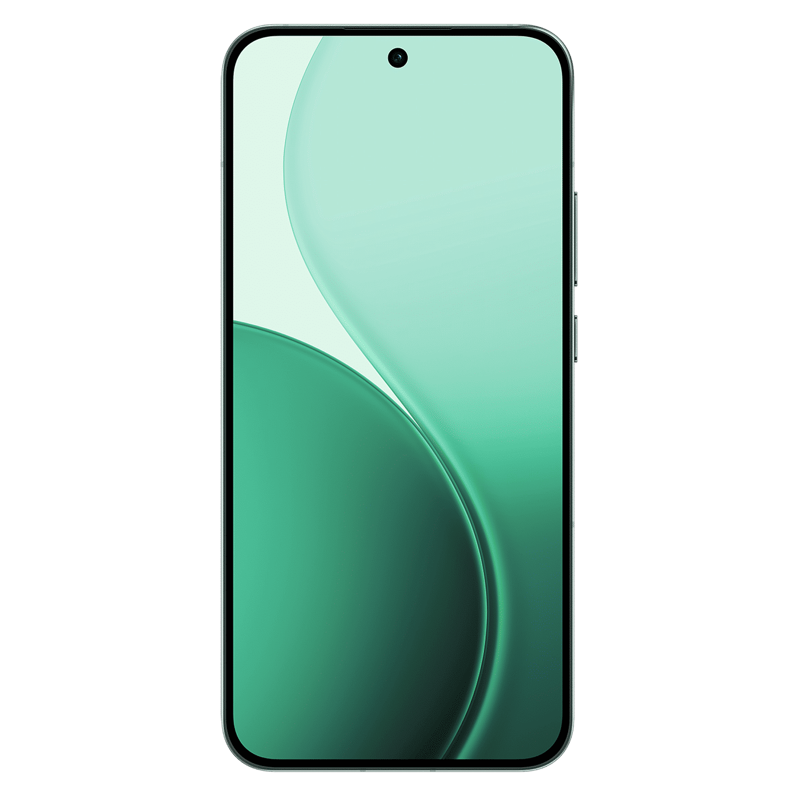 oppo Reno 14 5G (8GB RAM, 256GB, Forest Green)_10