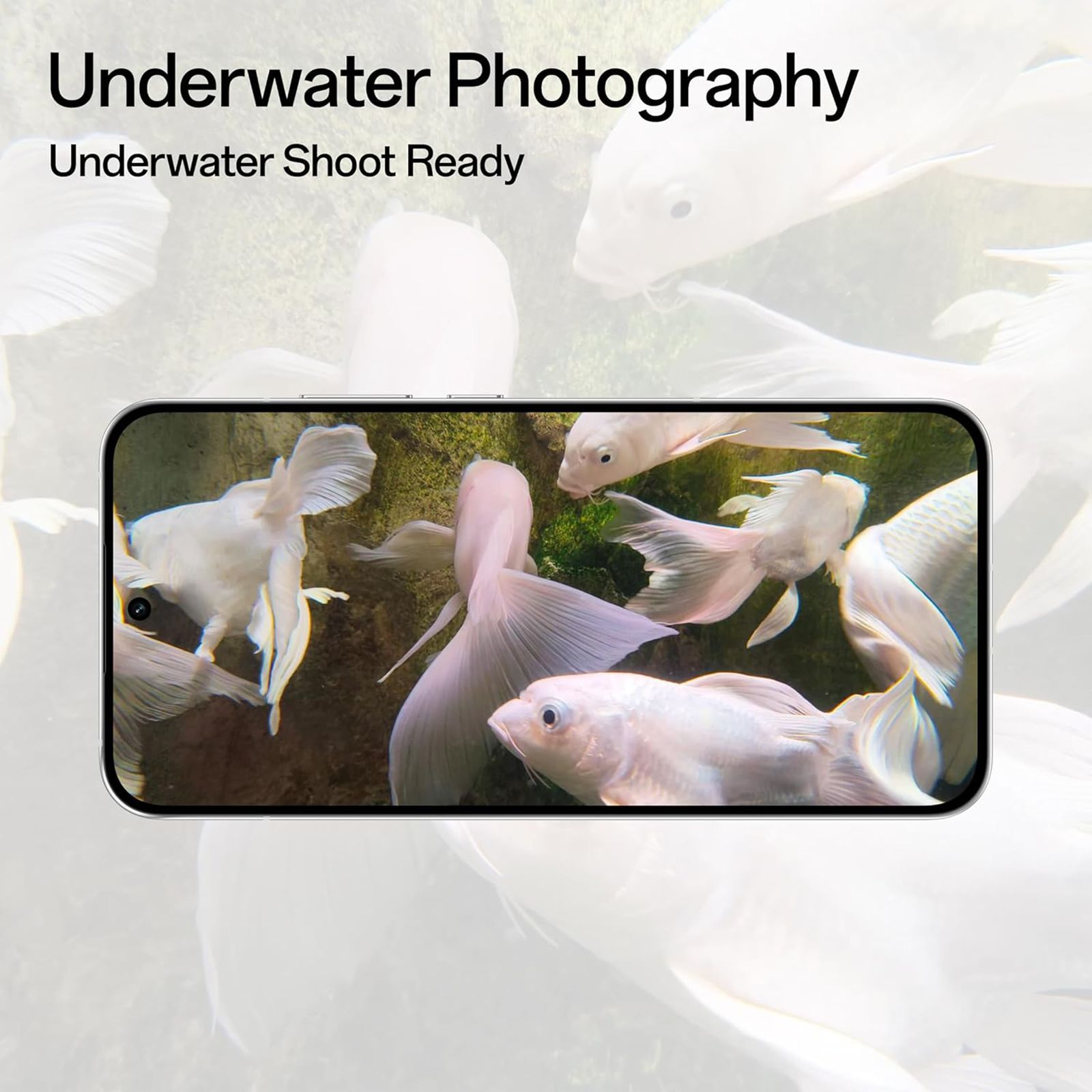 oppo Reno 14 5G (12GB RAM, 256GB, Pearl White)_20