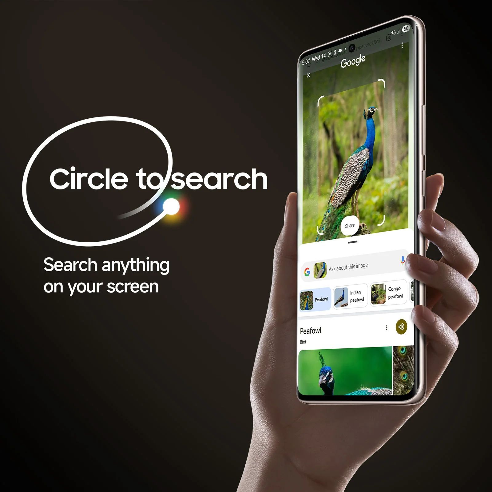 Redmi Note 14 Pro Plus 5G (8GB RAM, 256GB, Champagne Gold) Redmi Note 14 Pro Plus 5G (8GB RAM, 256GB, Champagne Gold)_15