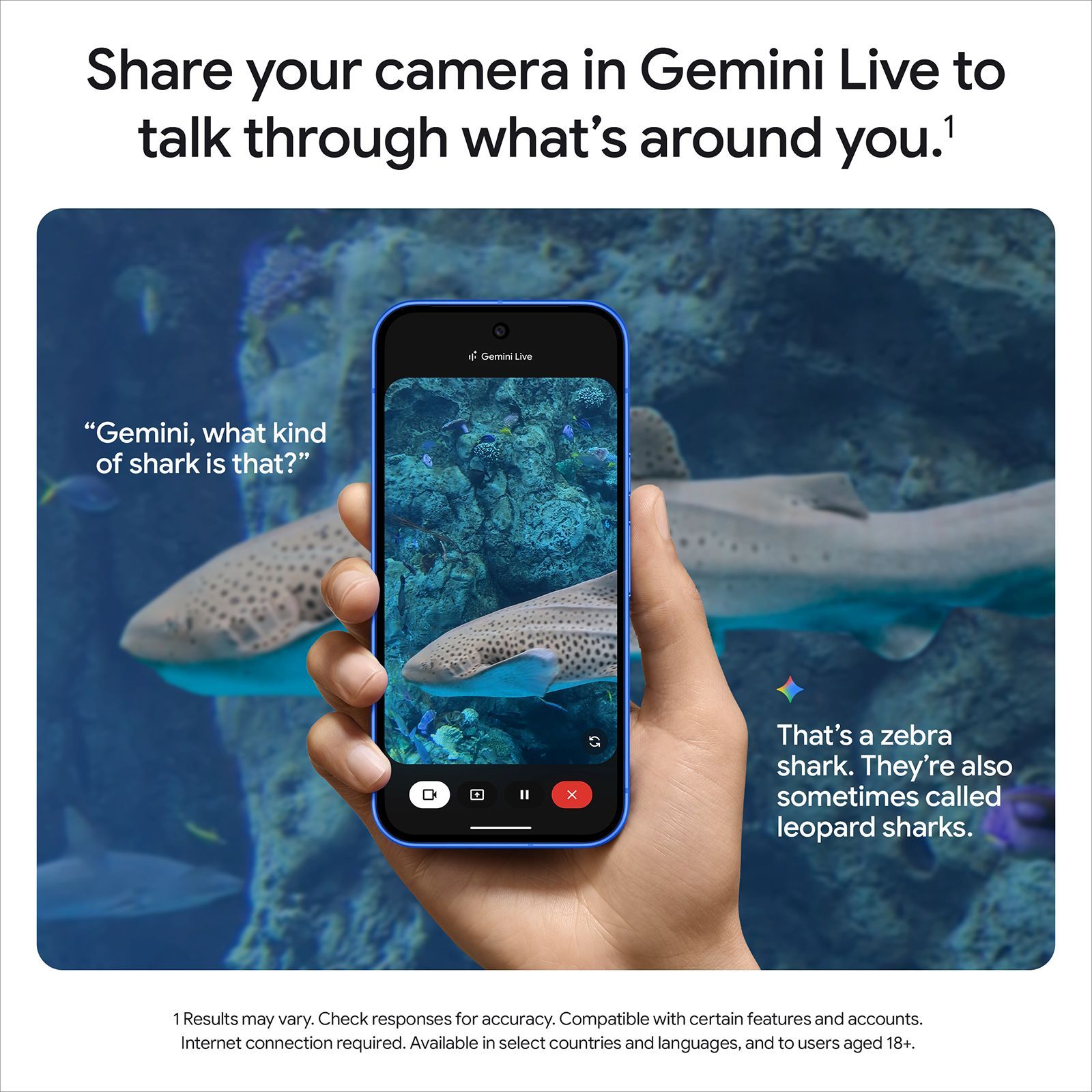 Google Pixel 10 5G (12GB RAM, 256GB, Obsidian)_13