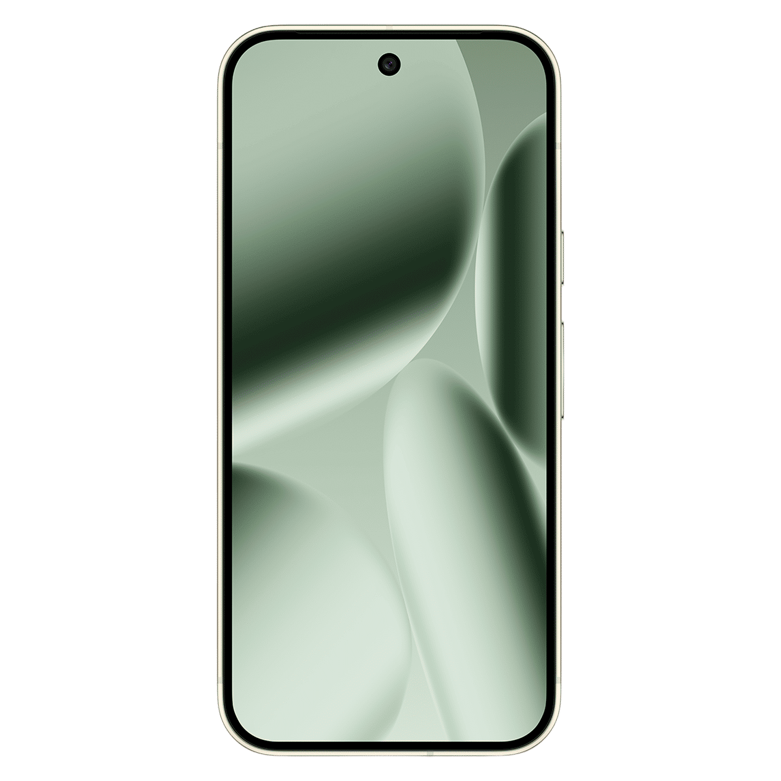 Google Pixel 10 Pro 5G (16GB RAM, 256GB, Jade)_8