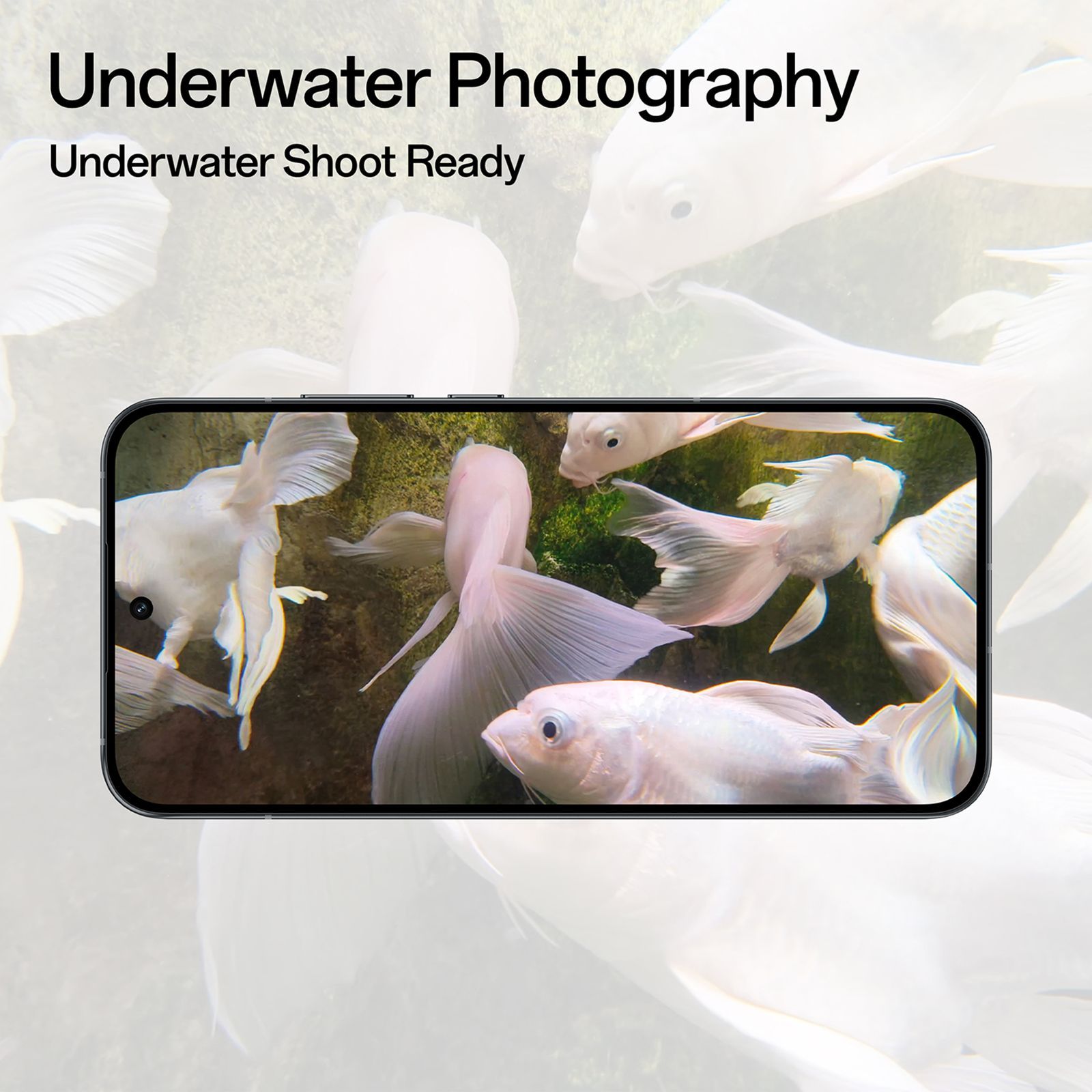 oppo Reno 14 5G (8GB RAM, 256GB, Diwali Gold)_13