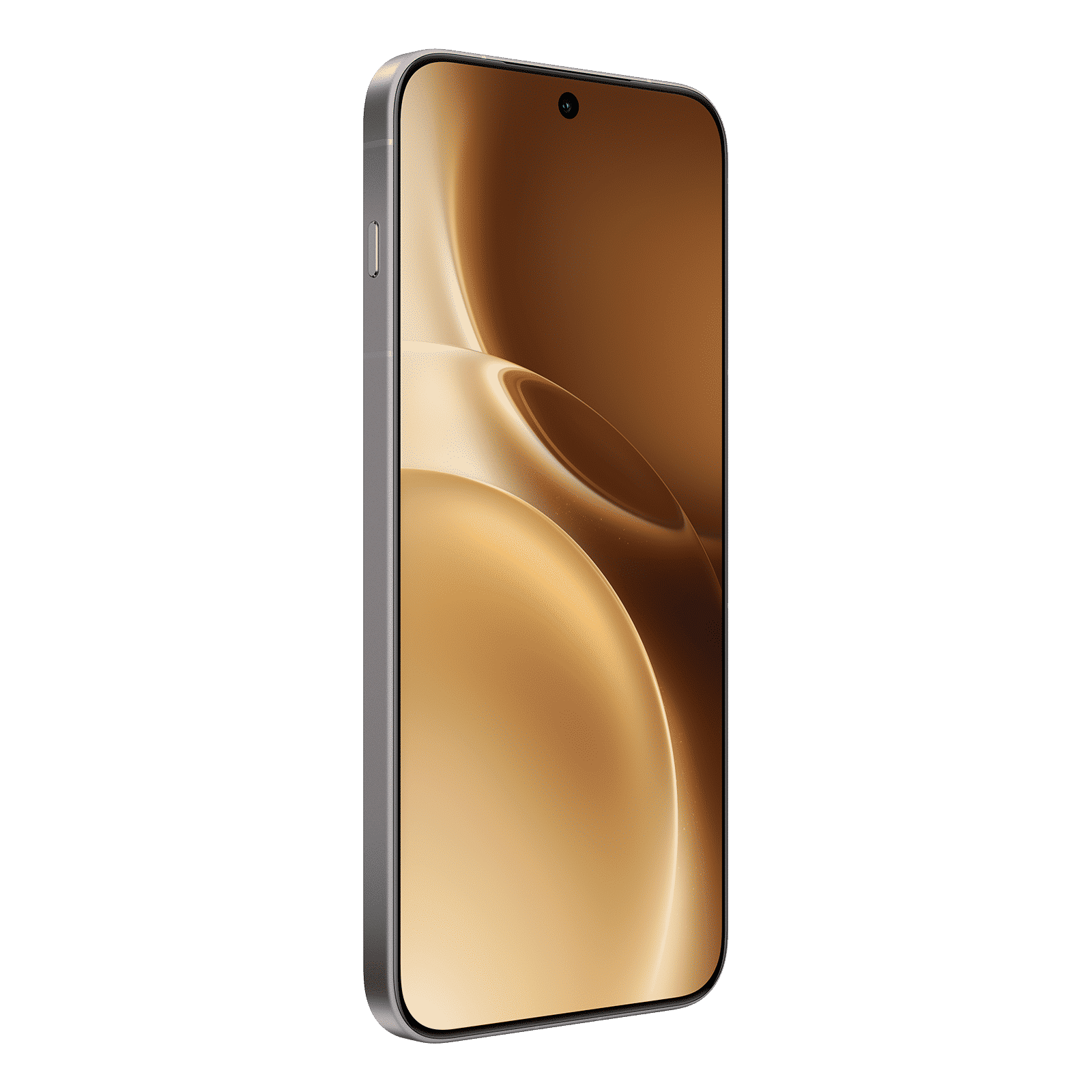 vivo X300 Pro 5G (16GB RAM, 512GB, Dune Gold)_2