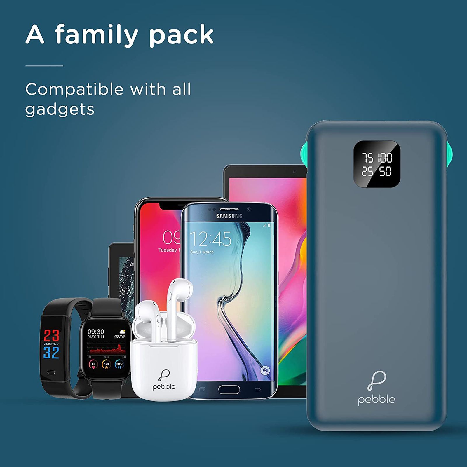 Pebble Ace Pro 10000 mAh 12W Fast Charging Power Bank (1 Micro USB Type B, 1 Type C, 1 Type A & 1 Lightning Ports, Digital LED Indicator, Blue)_11