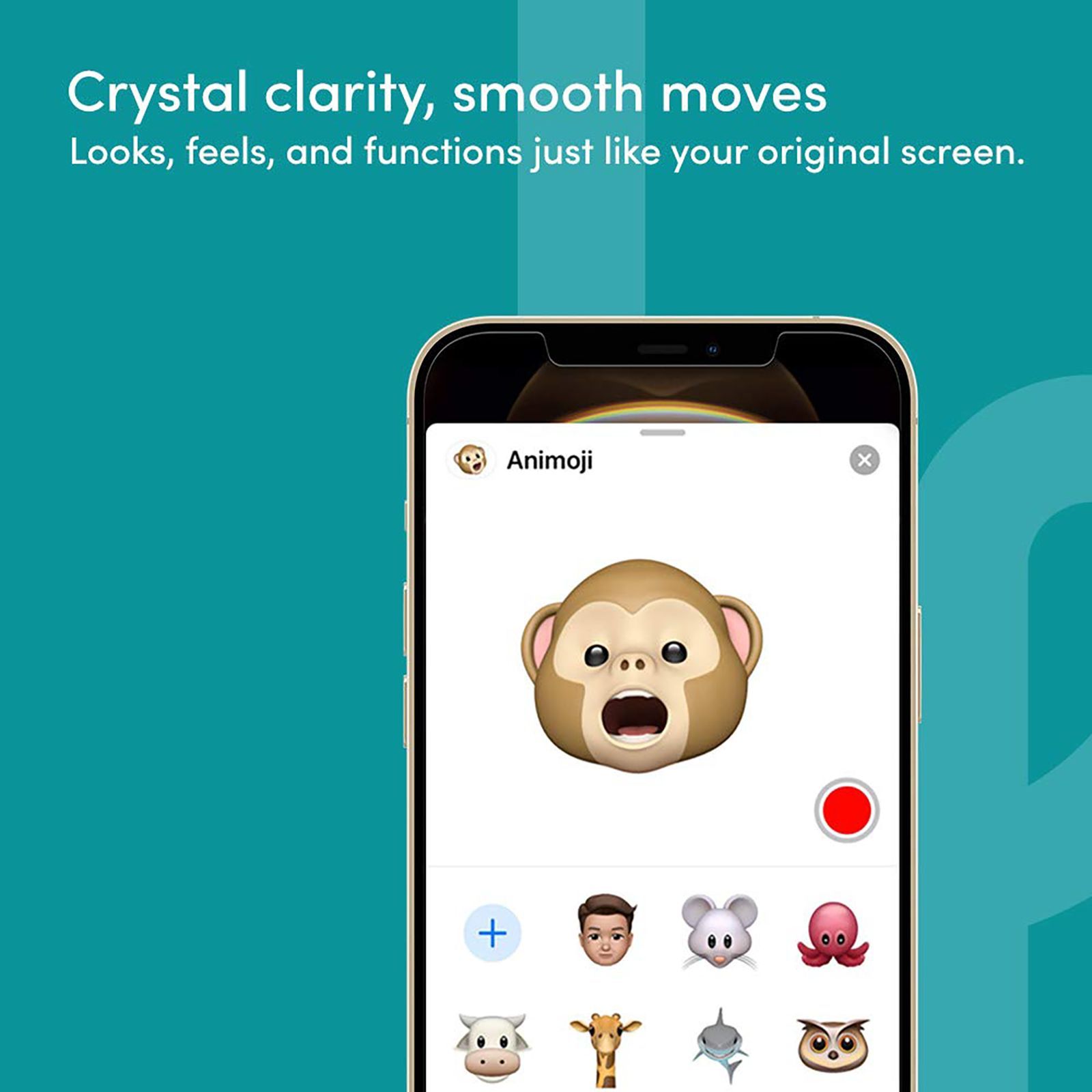 belkin Screen Protector For iPhone 12 Pro Max (Anti-Microbial Coating)_6